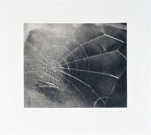 Vija Celmins