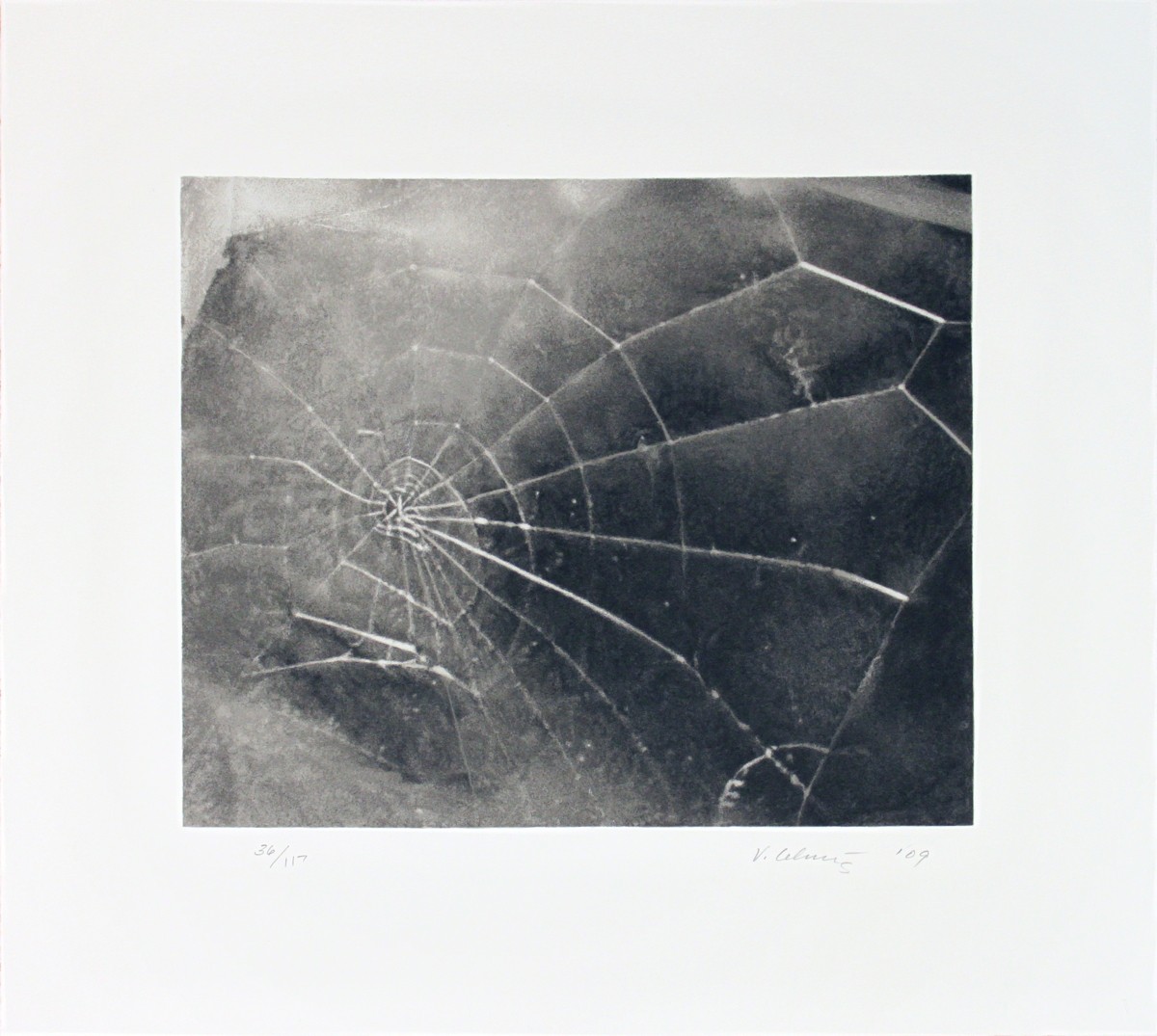 Vija Celmins, Spider Web Vija Celmins, Spider Web