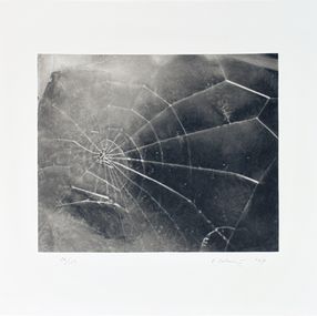Print, Spider Web, Vija Celmins