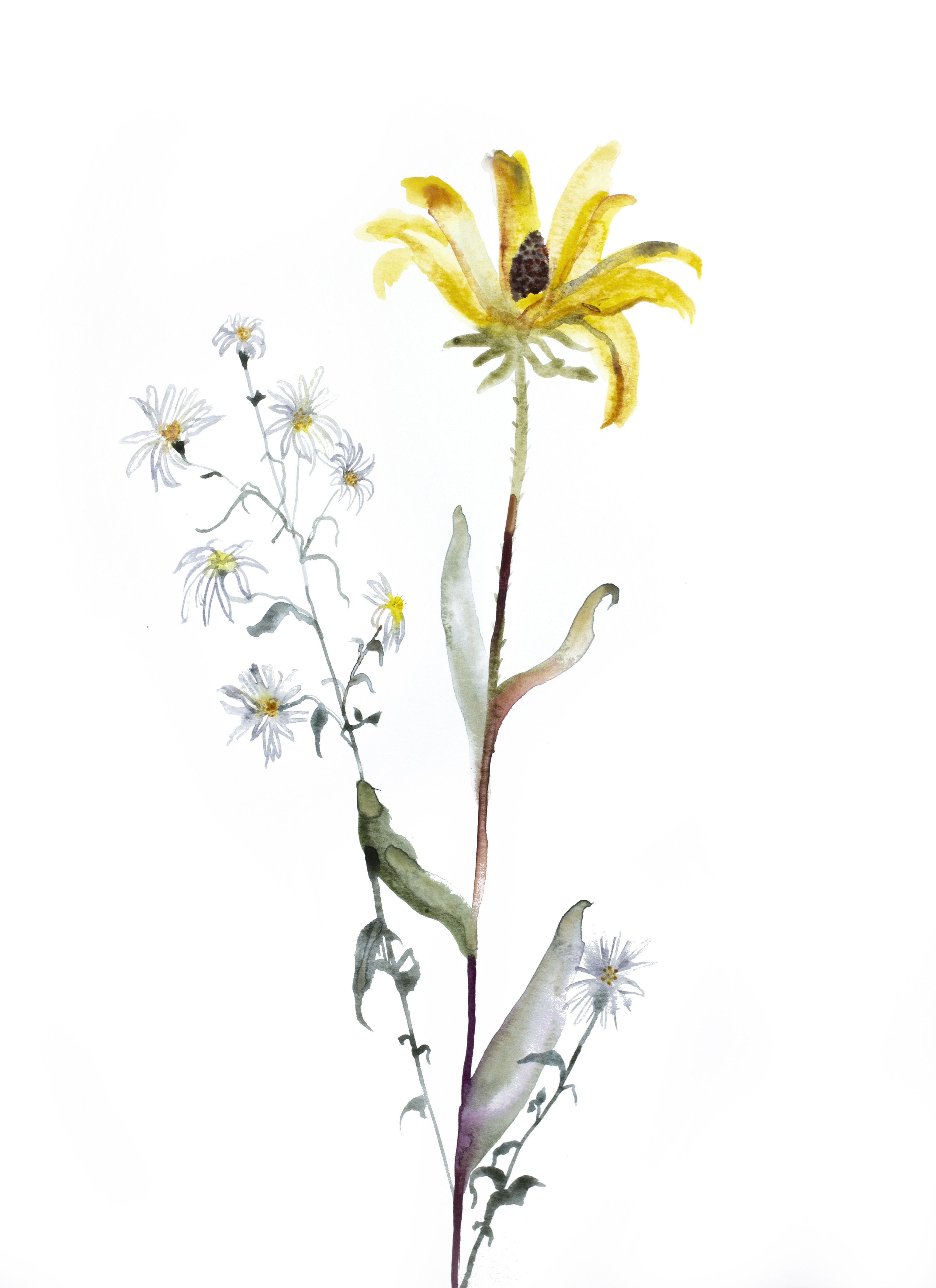 Elizabeth Becker, Meadow Study No. 2 Elizabeth Becker, Meadow Study No. 2