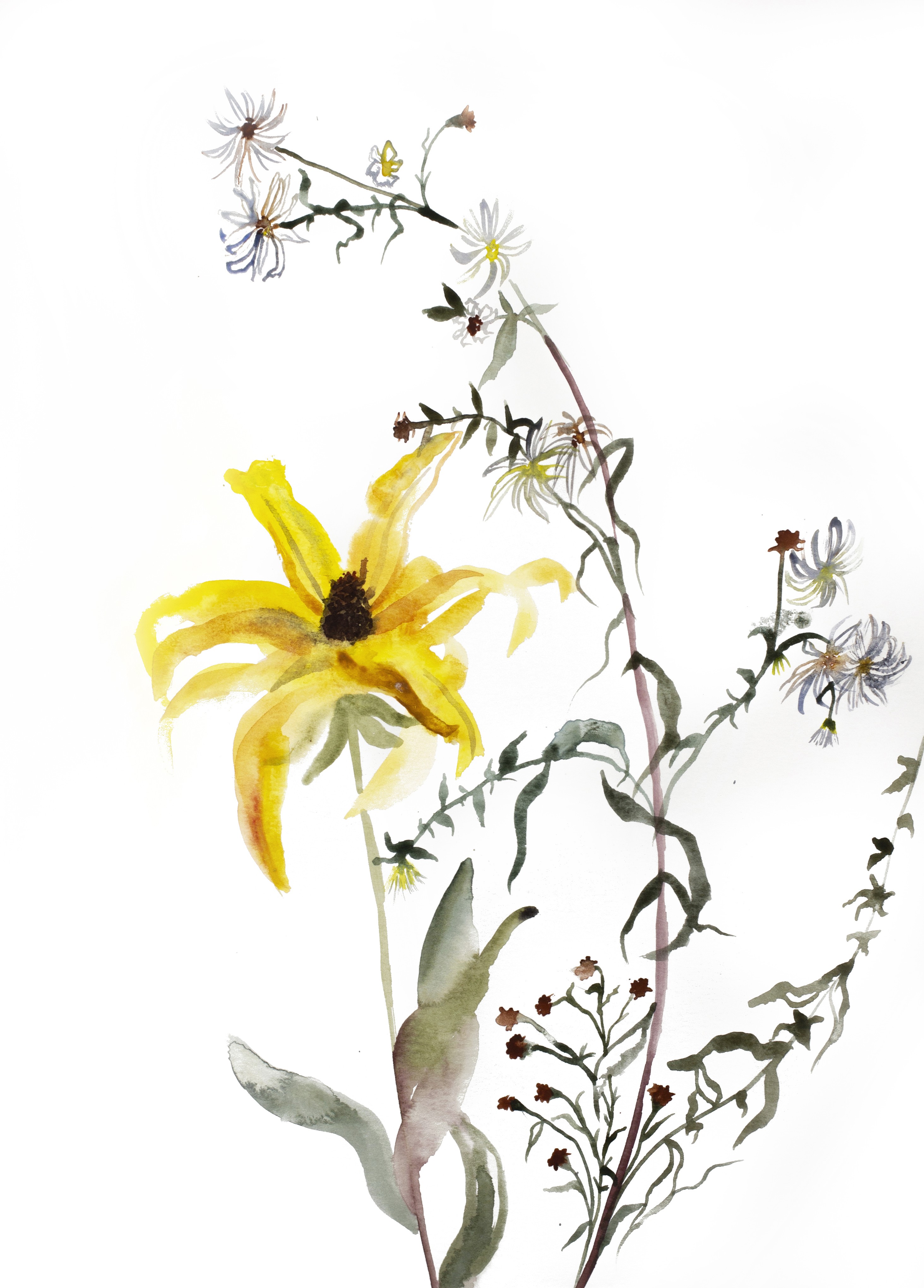Elizabeth Becker, Meadow Study No. 3 Elizabeth Becker, Meadow Study No. 3