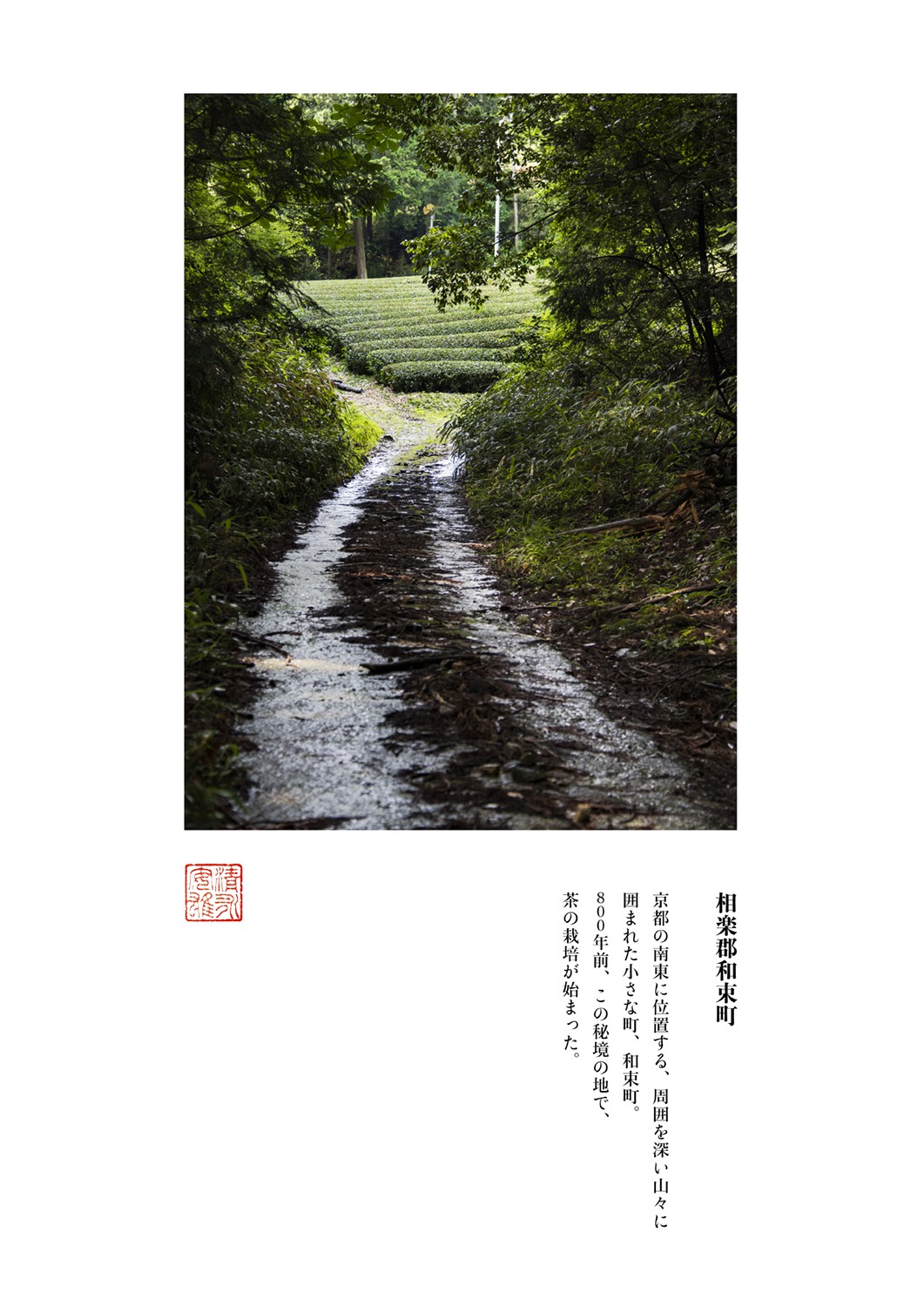 Yasuo Kiyonaga, A Journey to Reencounter Japanese Landscapes 7 Yasuo Kiyonaga, A Journey to Reencounter Japanese Landscapes 7
