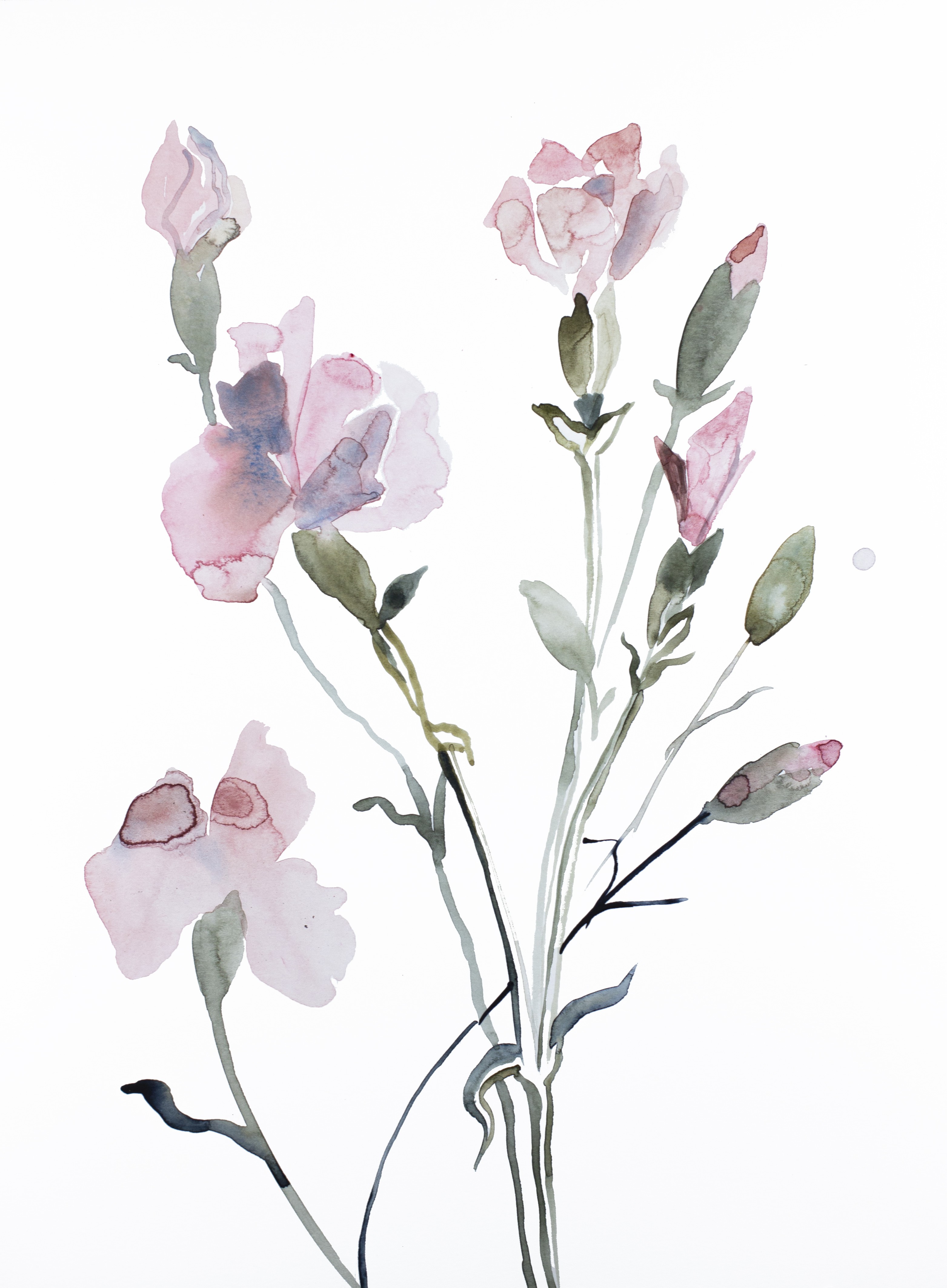 Elizabeth Becker, Floral No. 8 Elizabeth Becker, Floral No. 8