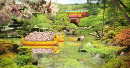 Transcoder - Narcissistic Dancing and Endless Park, Chien Hua Huang