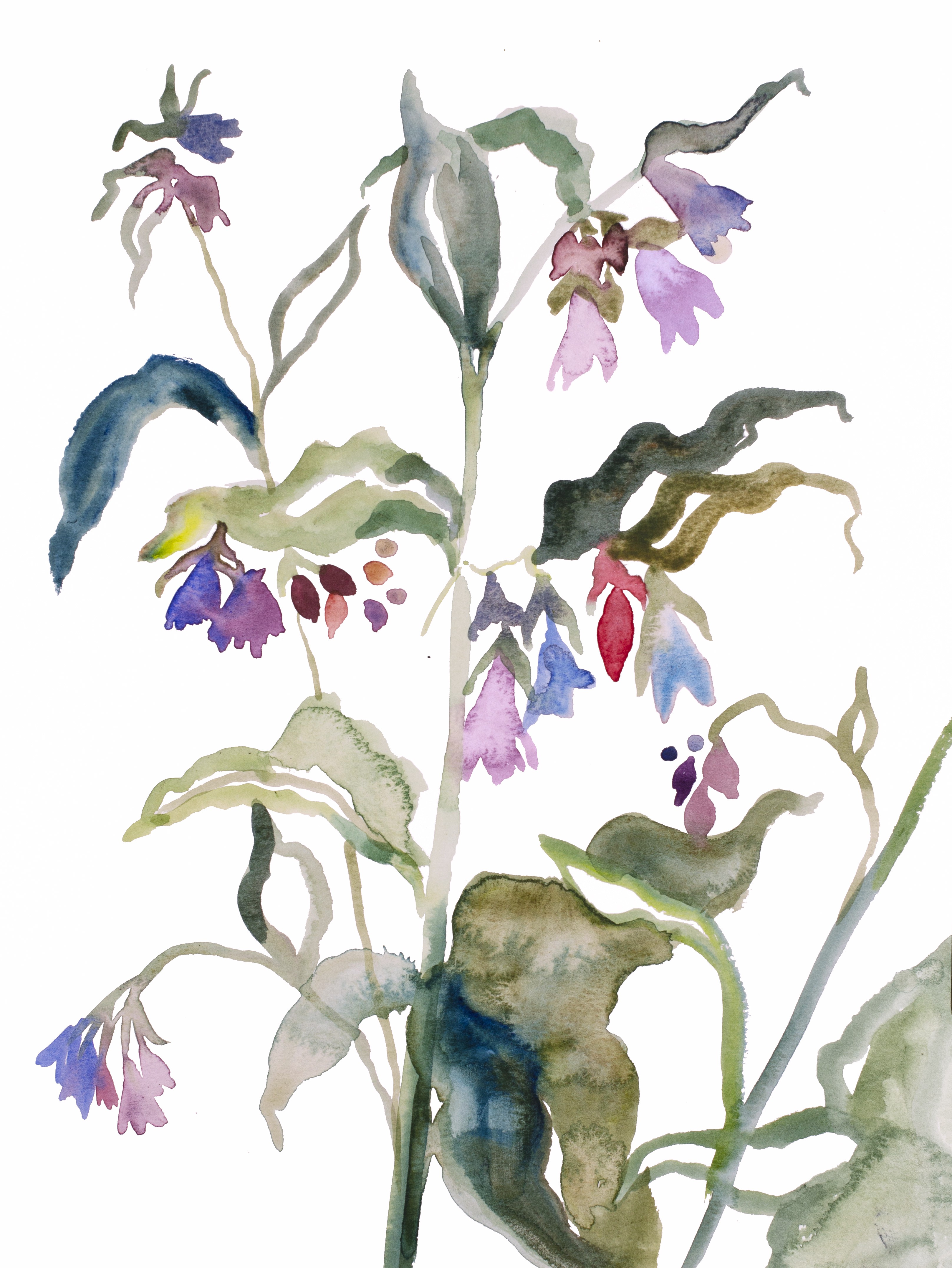 Elizabeth Becker, Floral No. 9 Elizabeth Becker, Floral No. 9