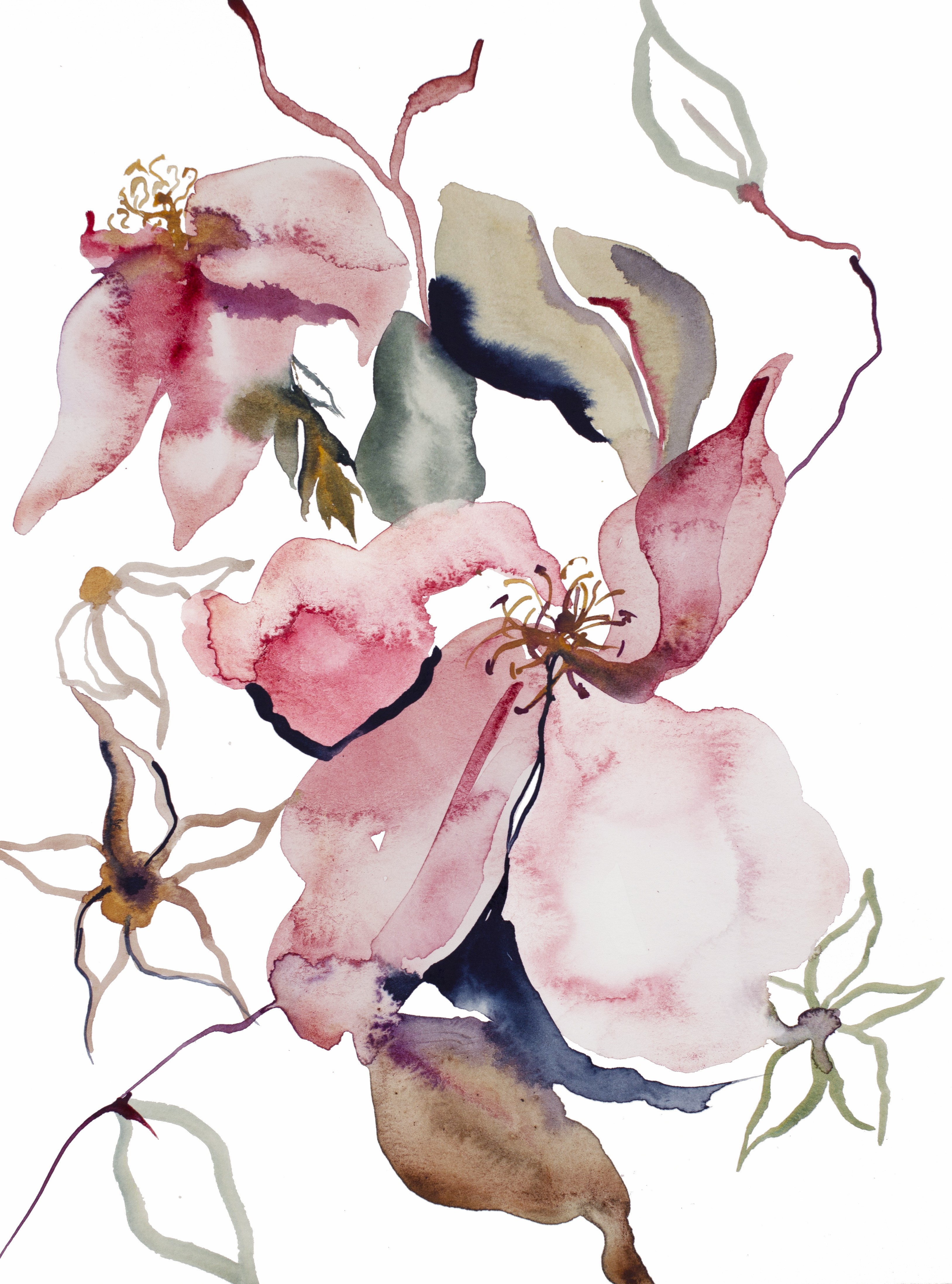 Elizabeth Becker, Rose Study No. 54 Elizabeth Becker, Rose Study No. 54