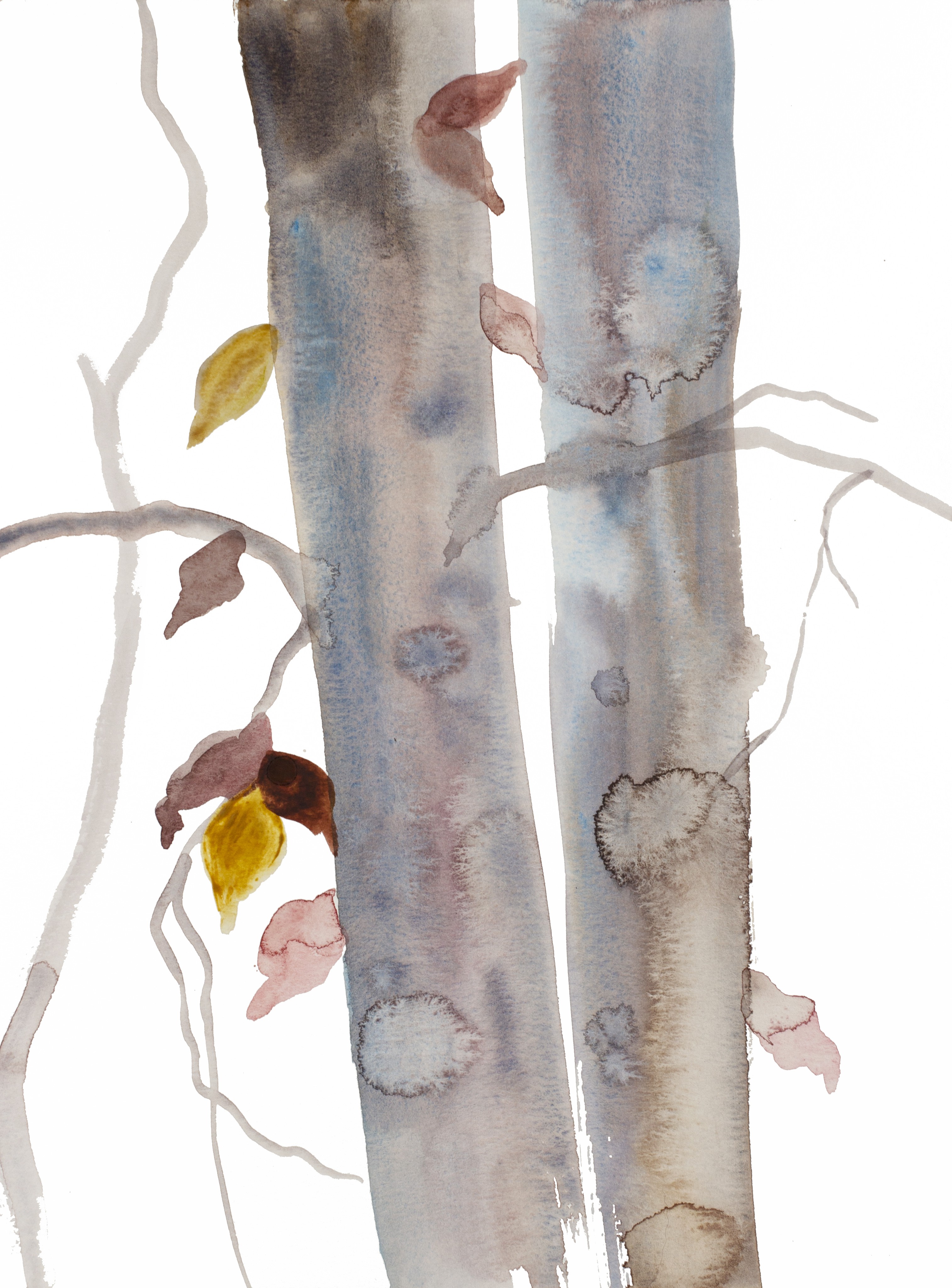 Elizabeth Becker, The Woods No. 117 Elizabeth Becker, The Woods No. 117