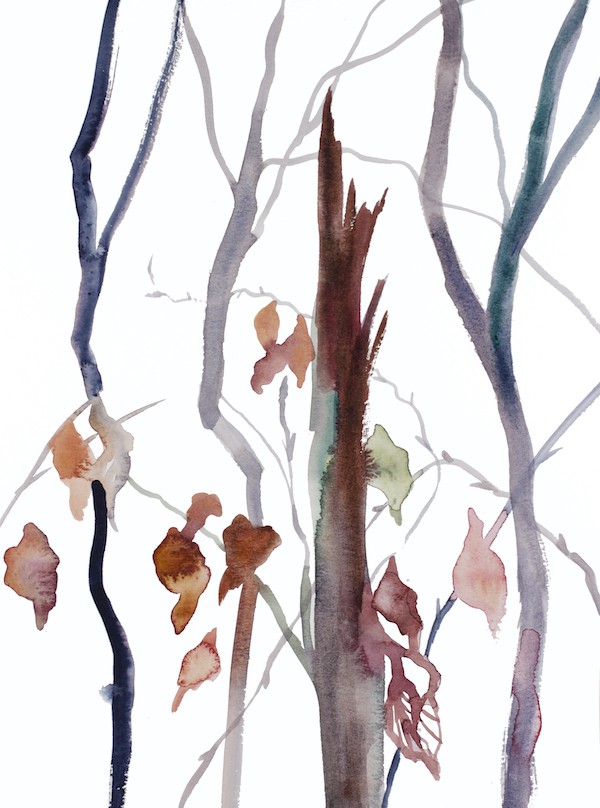 Elizabeth Becker, The Woods No. 121 Elizabeth Becker, The Woods No. 121