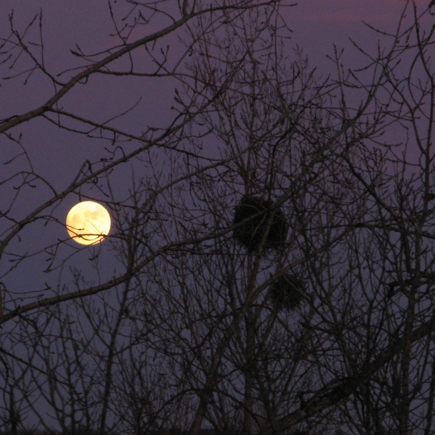 LN Le Cheviller, Lever de Lune LN Le Cheviller, Lever de Lune