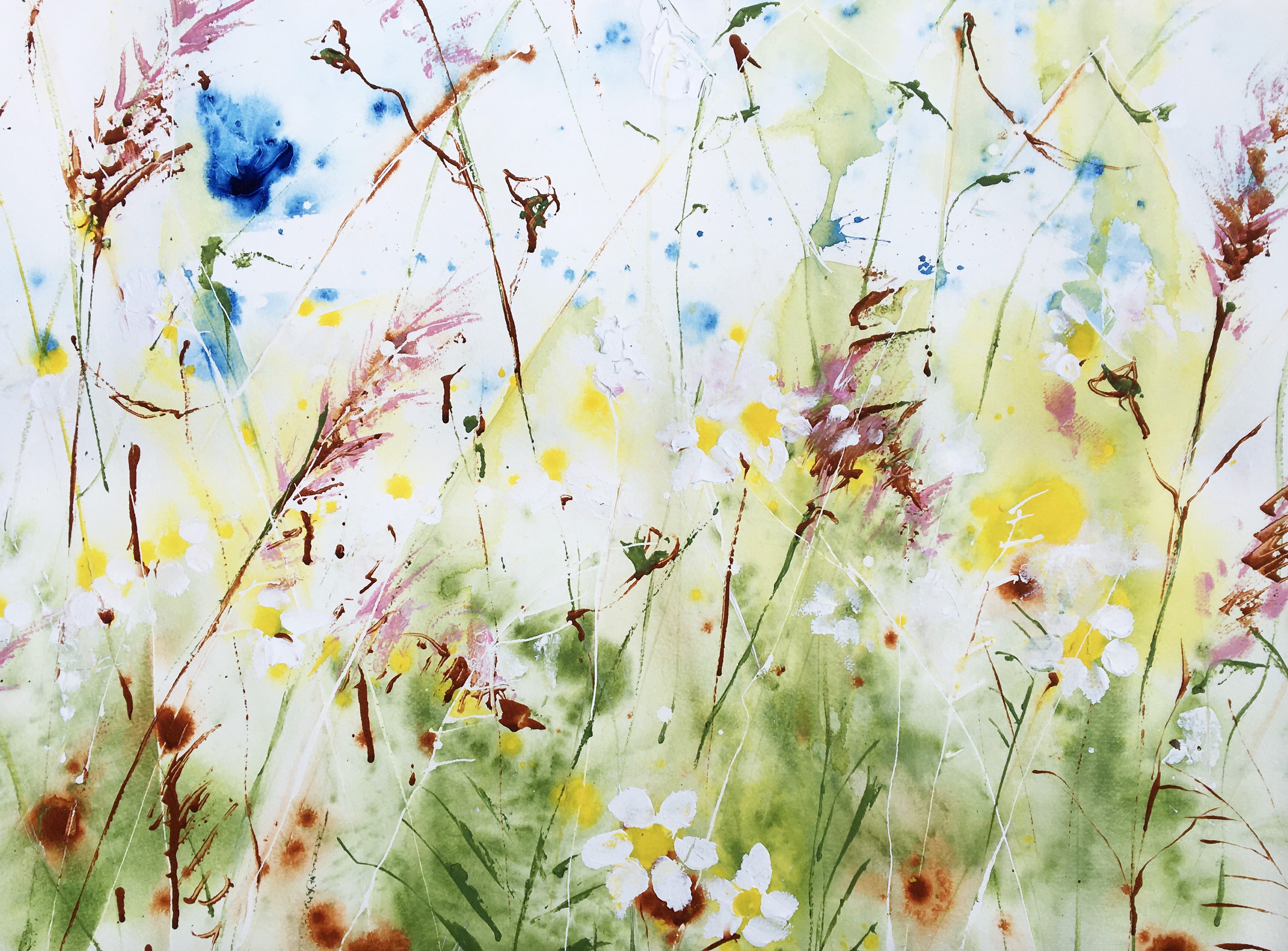 Rachael Dalzell, Daisies in the grass Rachael Dalzell, Daisies in the grass