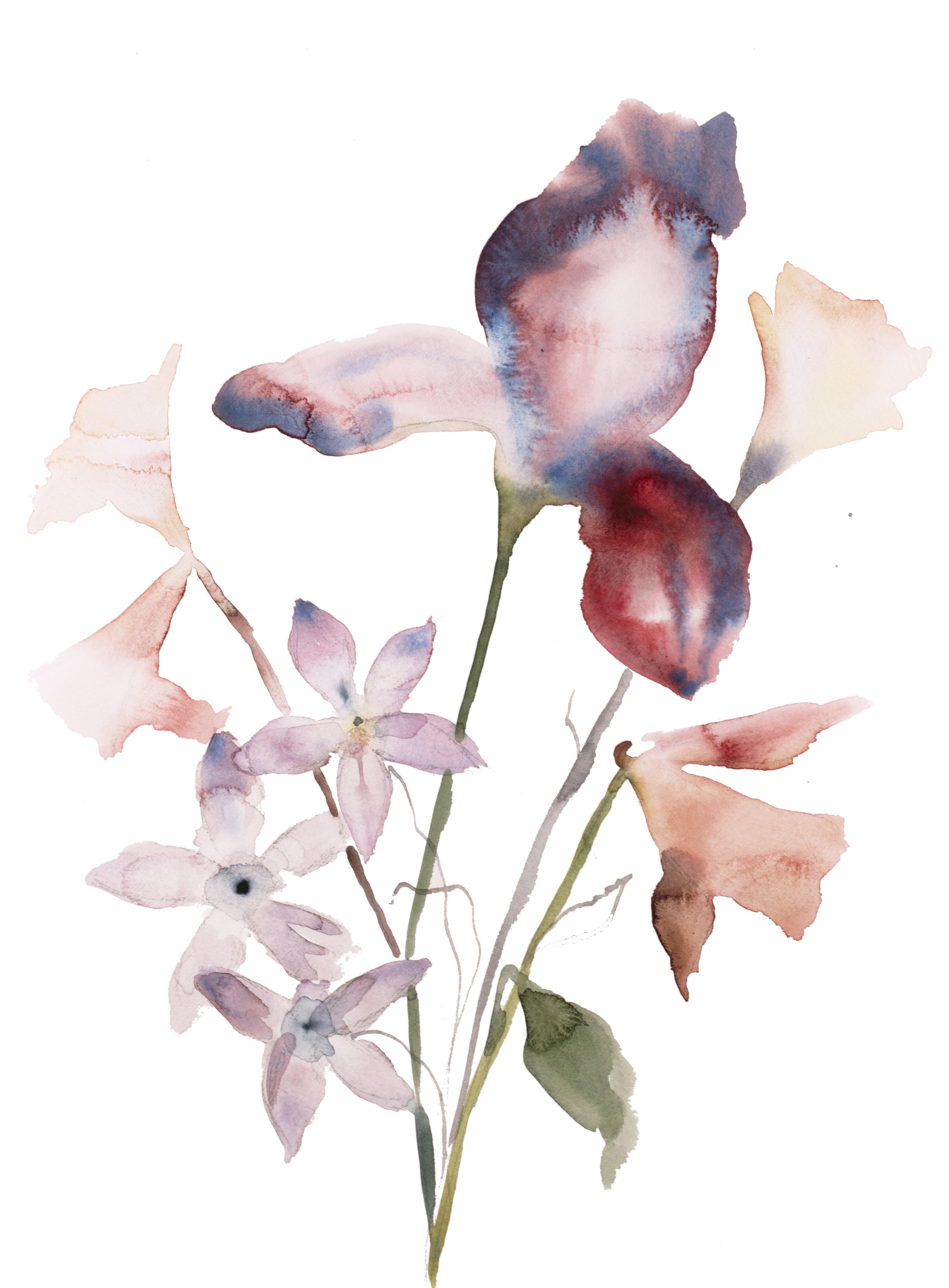 Elizabeth Becker, Floral No. 10 Elizabeth Becker, Floral No. 10