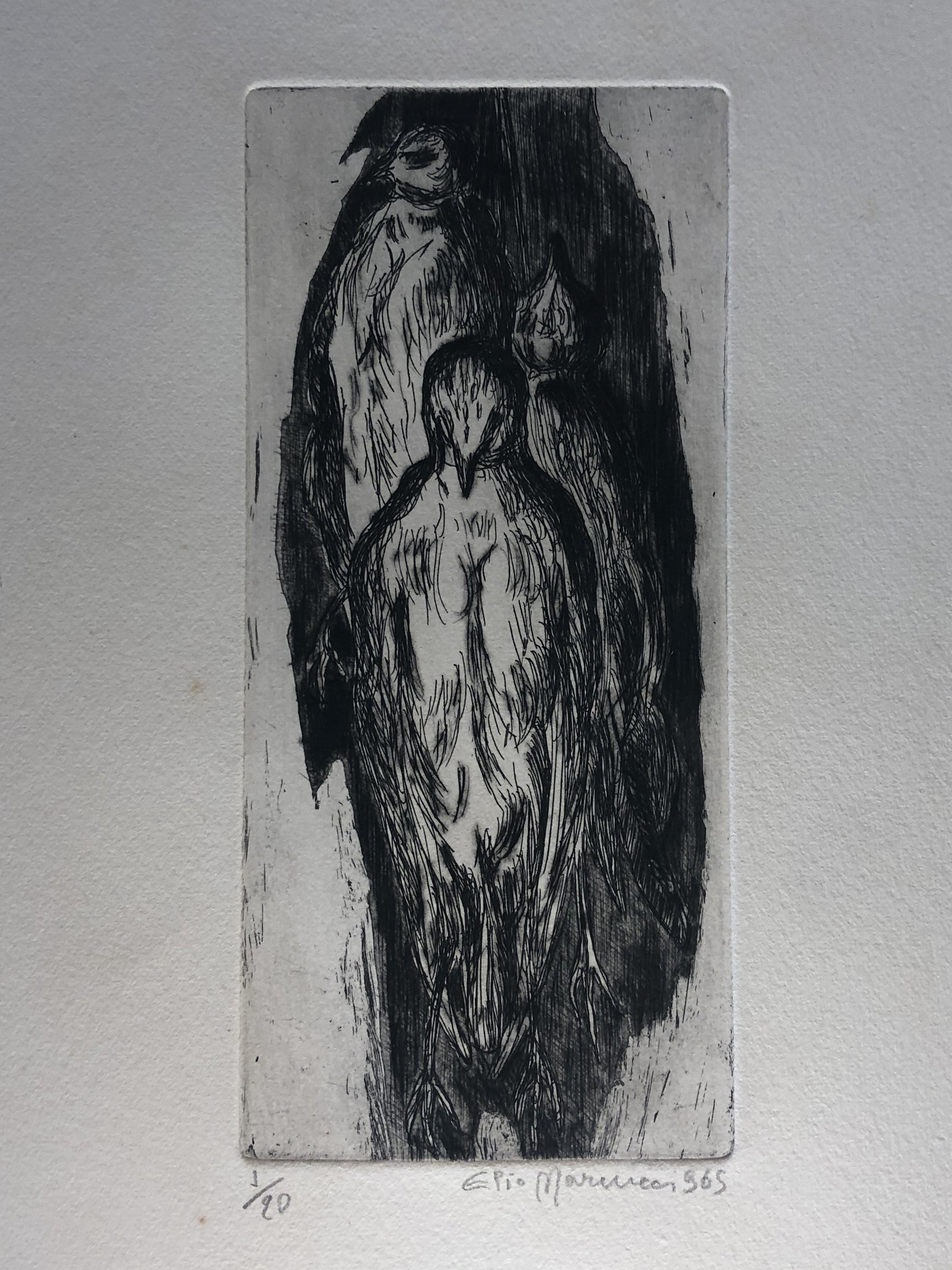 Elio Marcucci, Untitled Elio Marcucci, Untitled