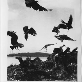 Untitled P-92, Martin Munkacsi