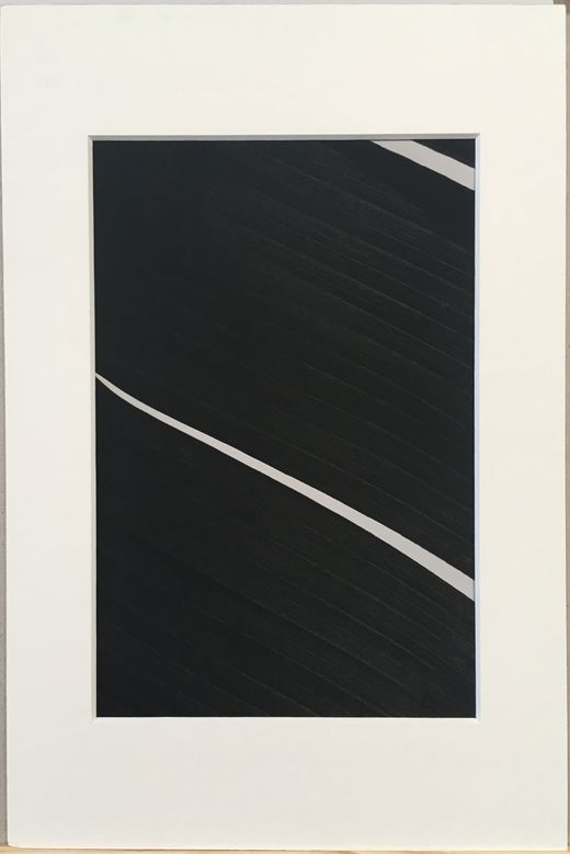 Ed Reddon