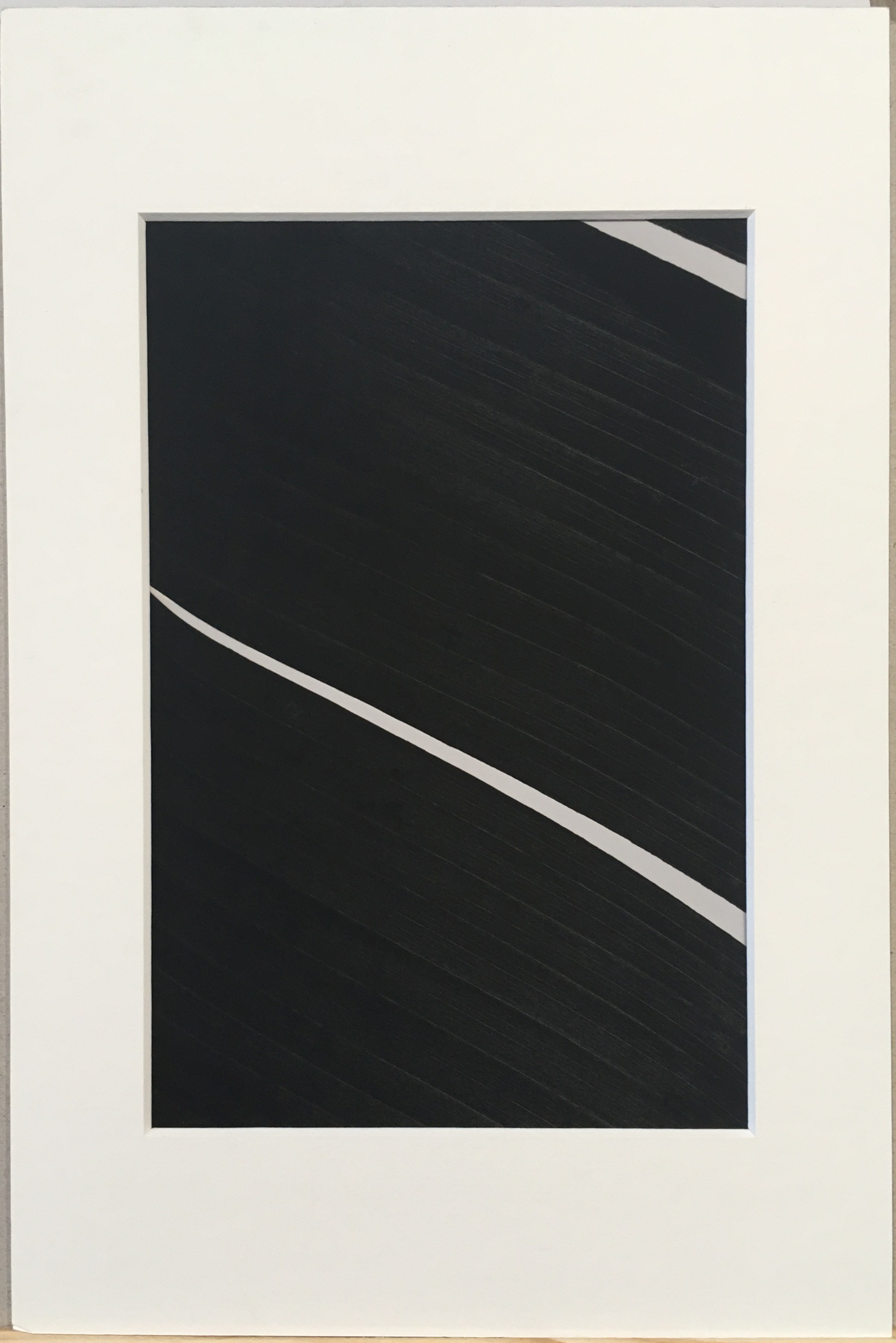 Ed Reddon, Banana leaves #1 Ed Reddon, Banana leaves #1
