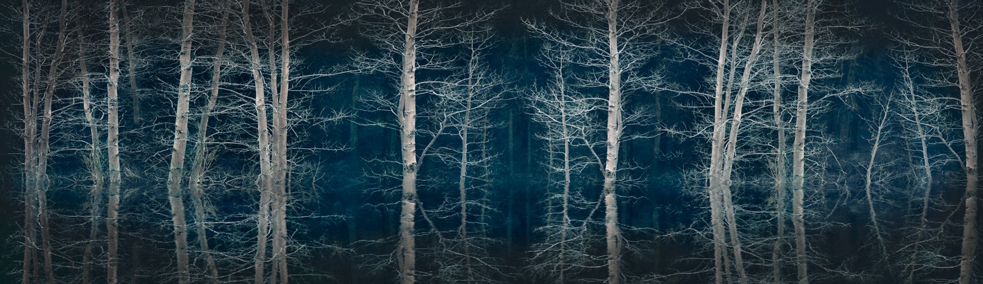 Barry Cawston, Blue forest Barry Cawston, Blue forest