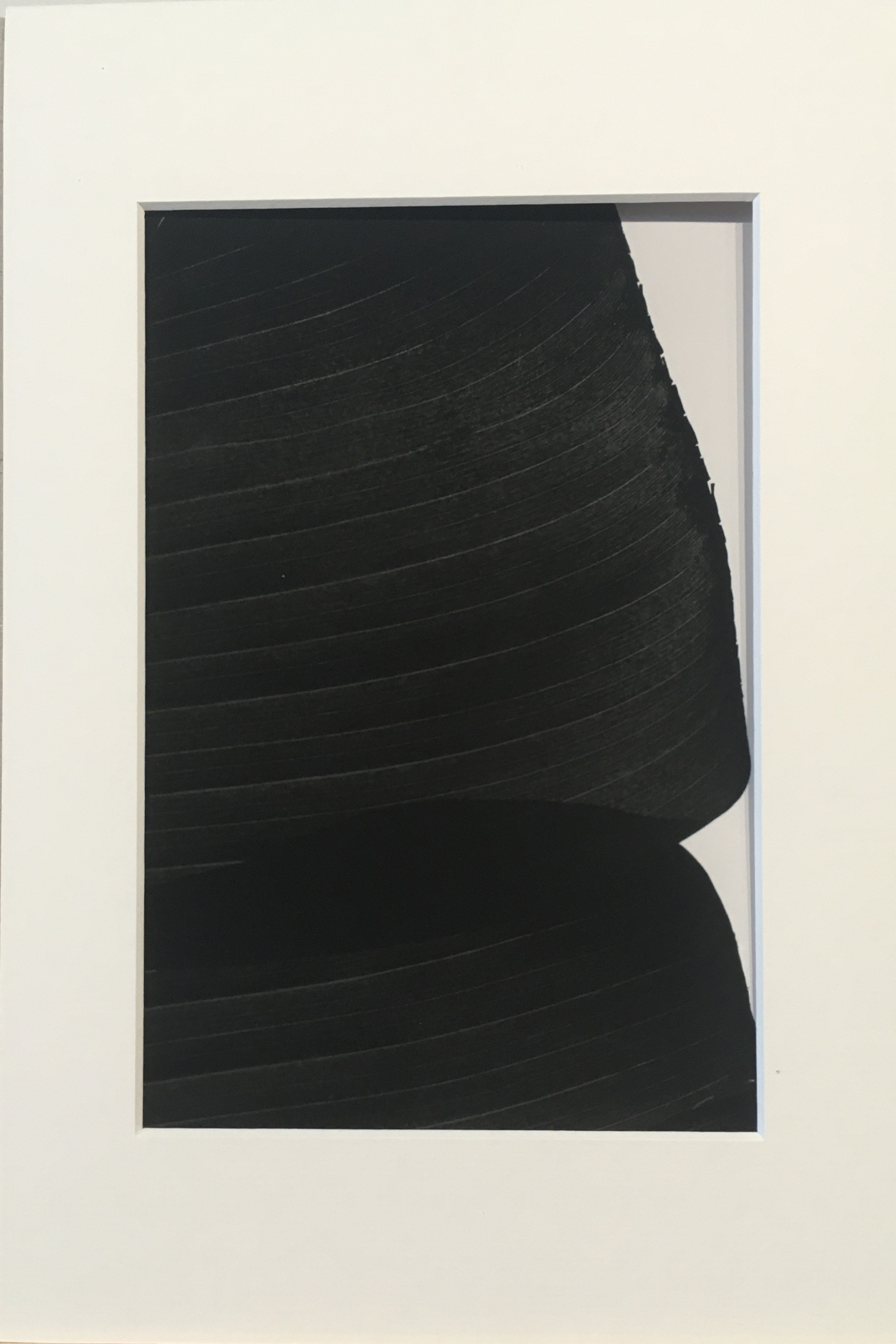 Ed Reddon, Banana leaves #10 Ed Reddon, Banana leaves #10