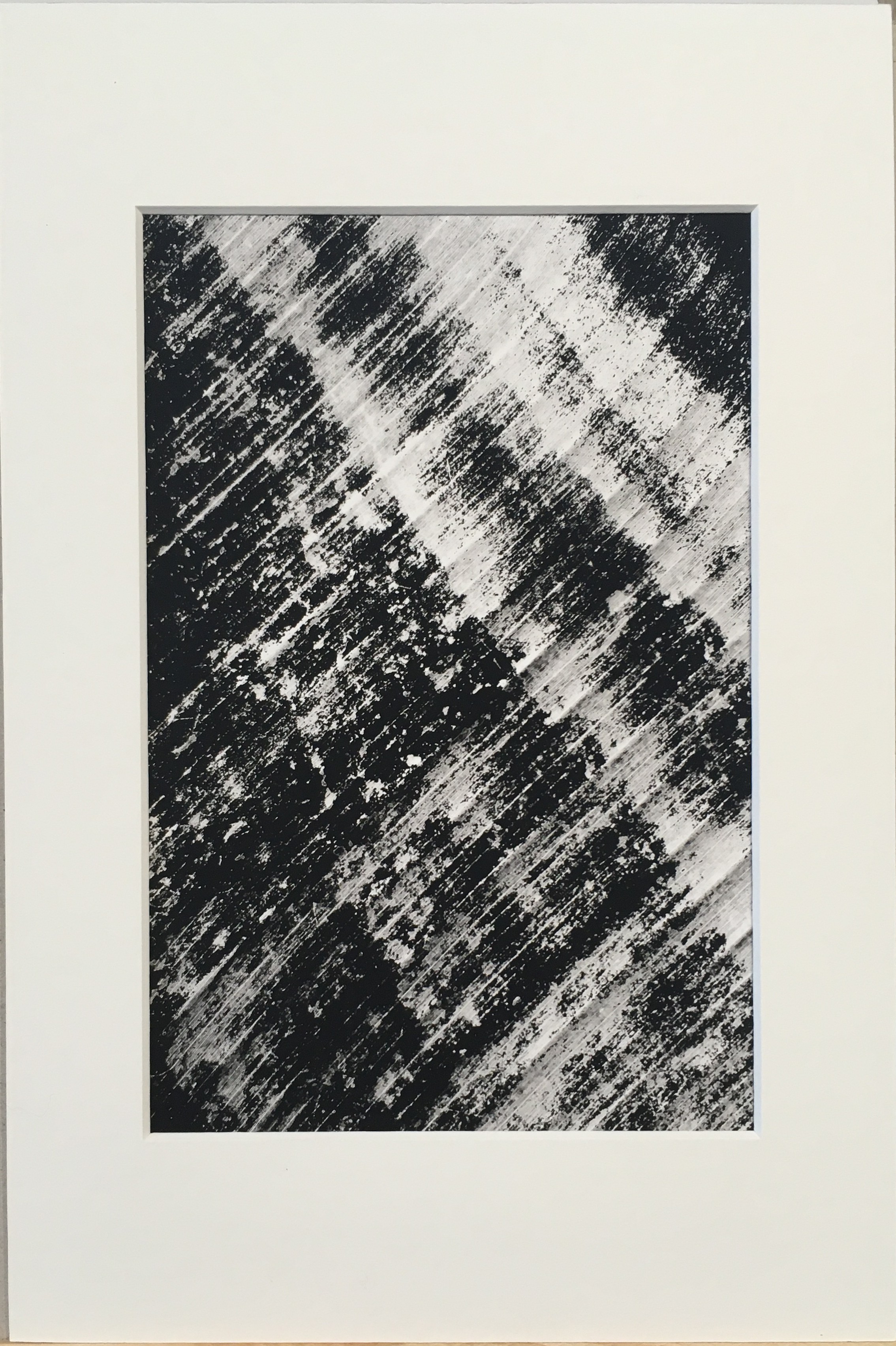 Ed Reddon, Banana leaves #2 Ed Reddon, Banana leaves #2