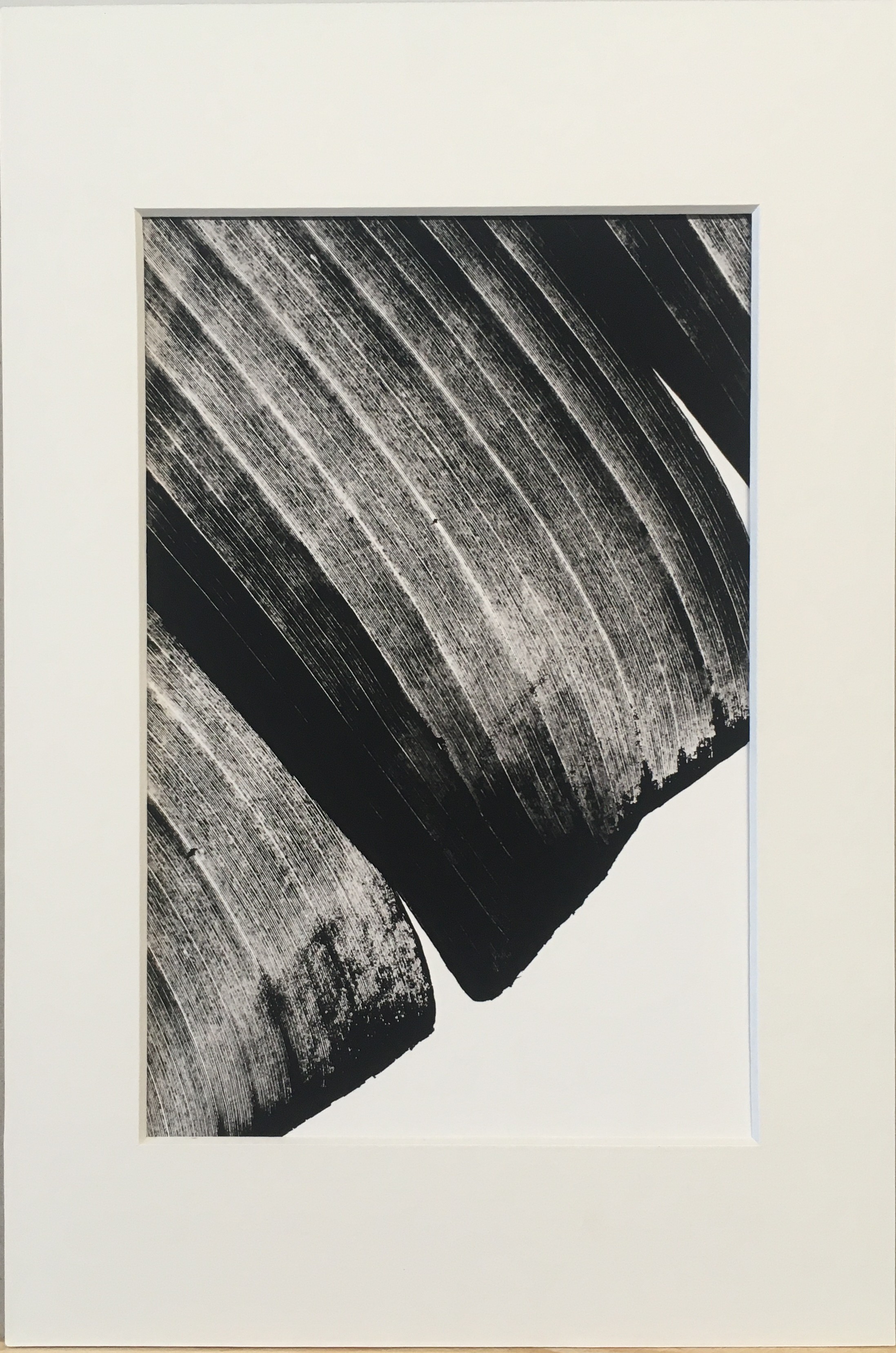 Ed Reddon, Banana leaves #12 Ed Reddon, Banana leaves #12