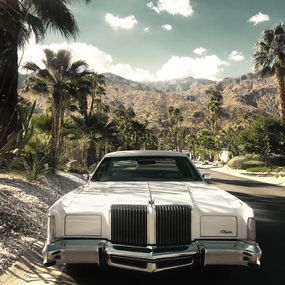 Photographie, Twin Palms #1, Heike Bohnstengel