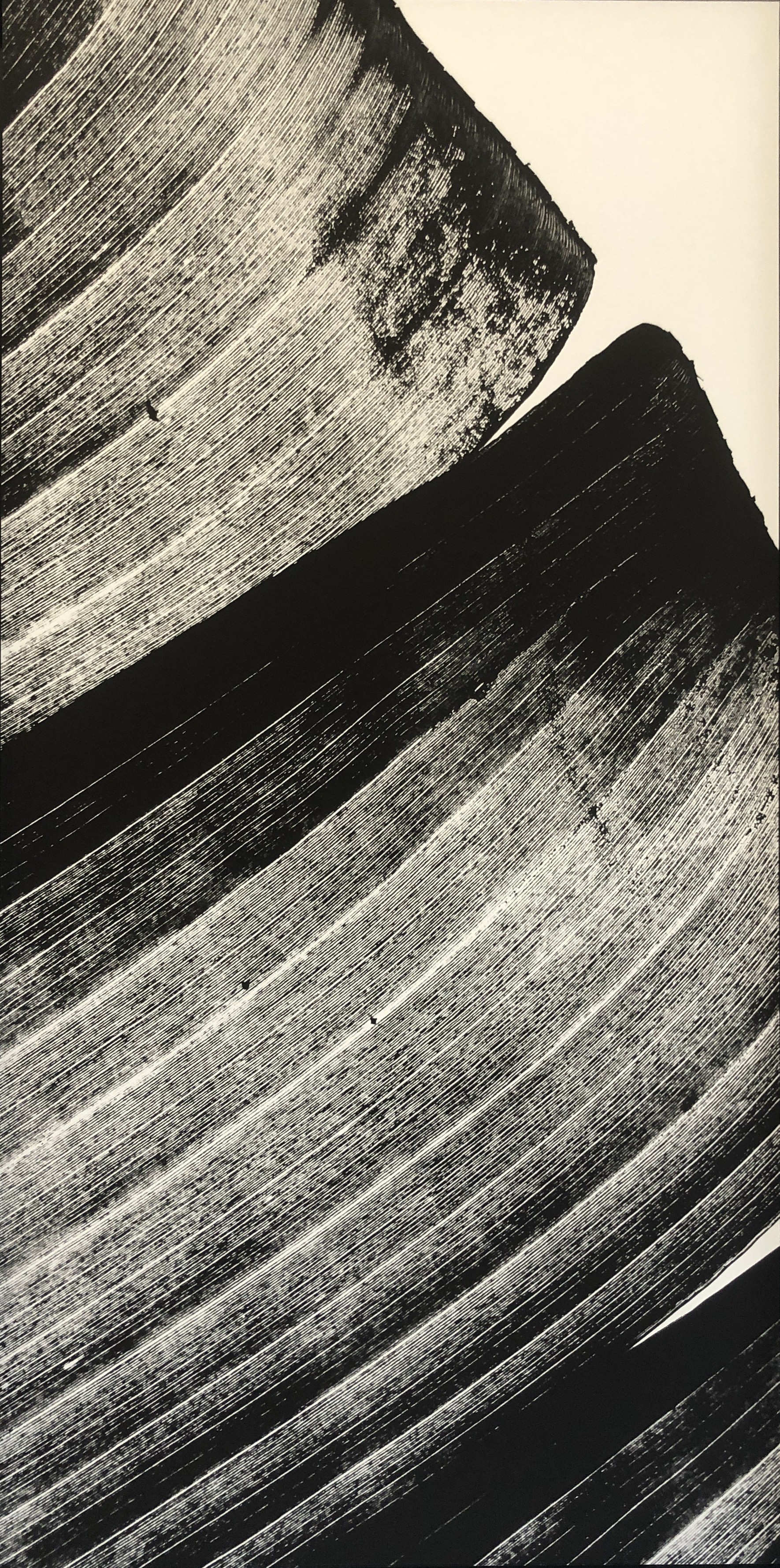Ed Reddon, Banana leaves #11 Ed Reddon, Banana leaves #11
