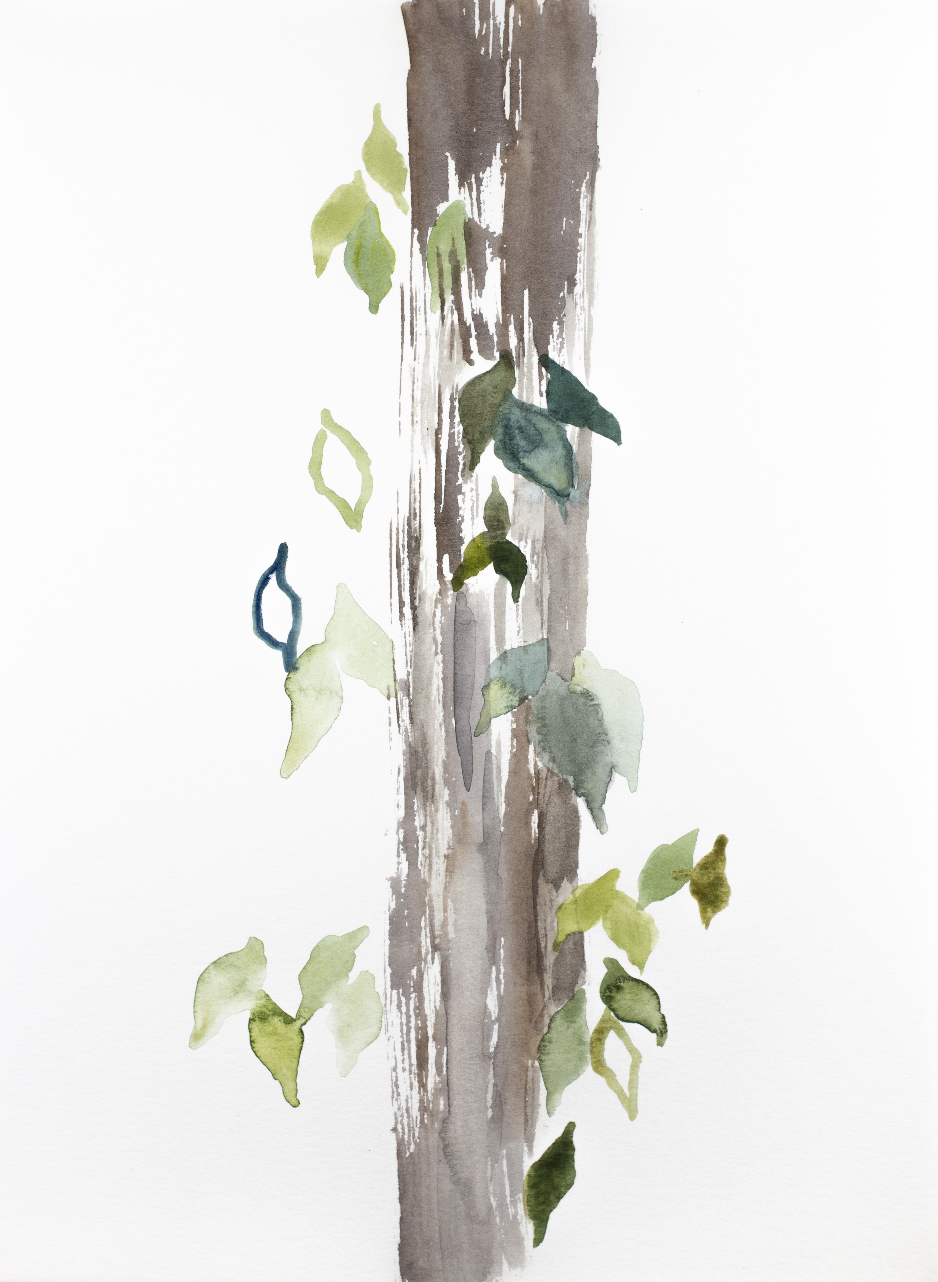Elizabeth Becker, The Woods No. 123 Elizabeth Becker, The Woods No. 123