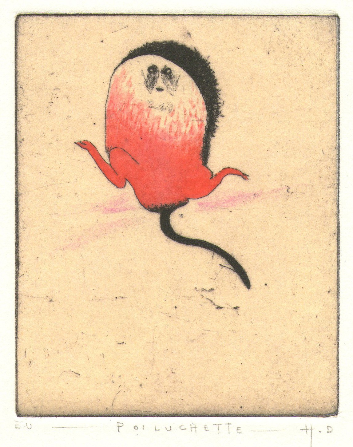 Didier Hamey, Poiluchette Didier Hamey, Poiluchette