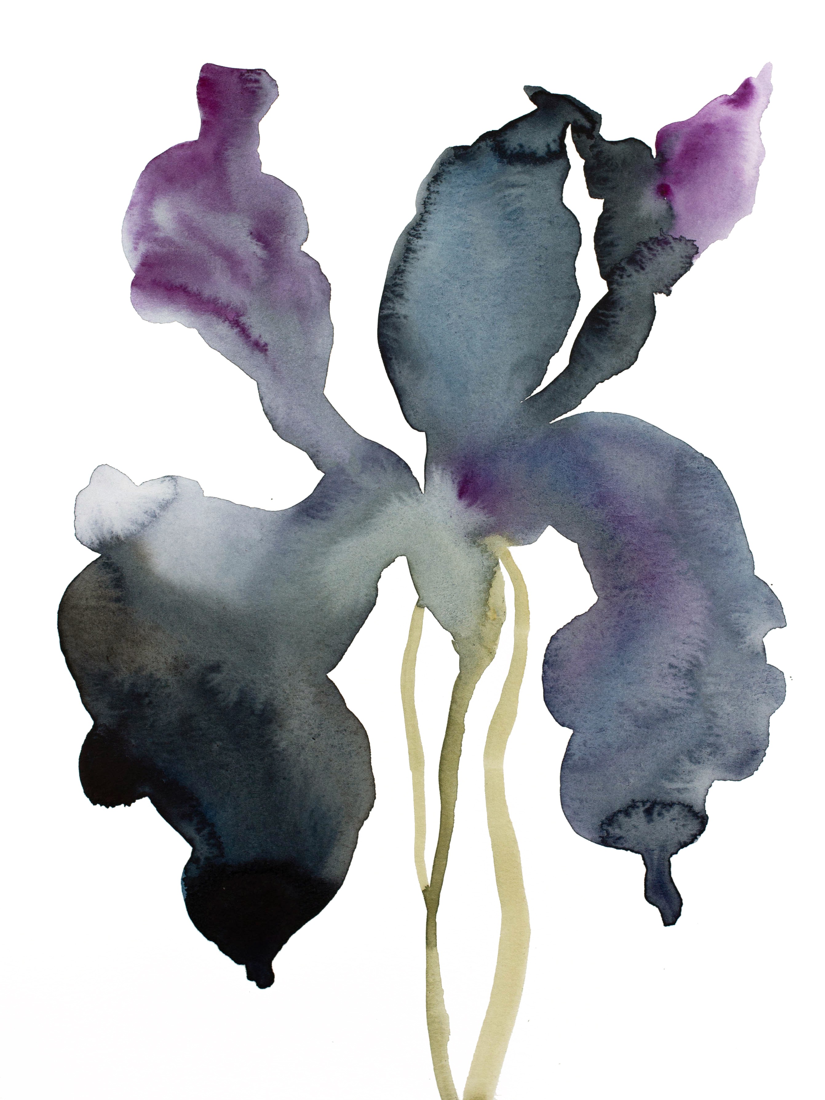 Elizabeth Becker, Iris No. 137 Elizabeth Becker, Iris No. 137