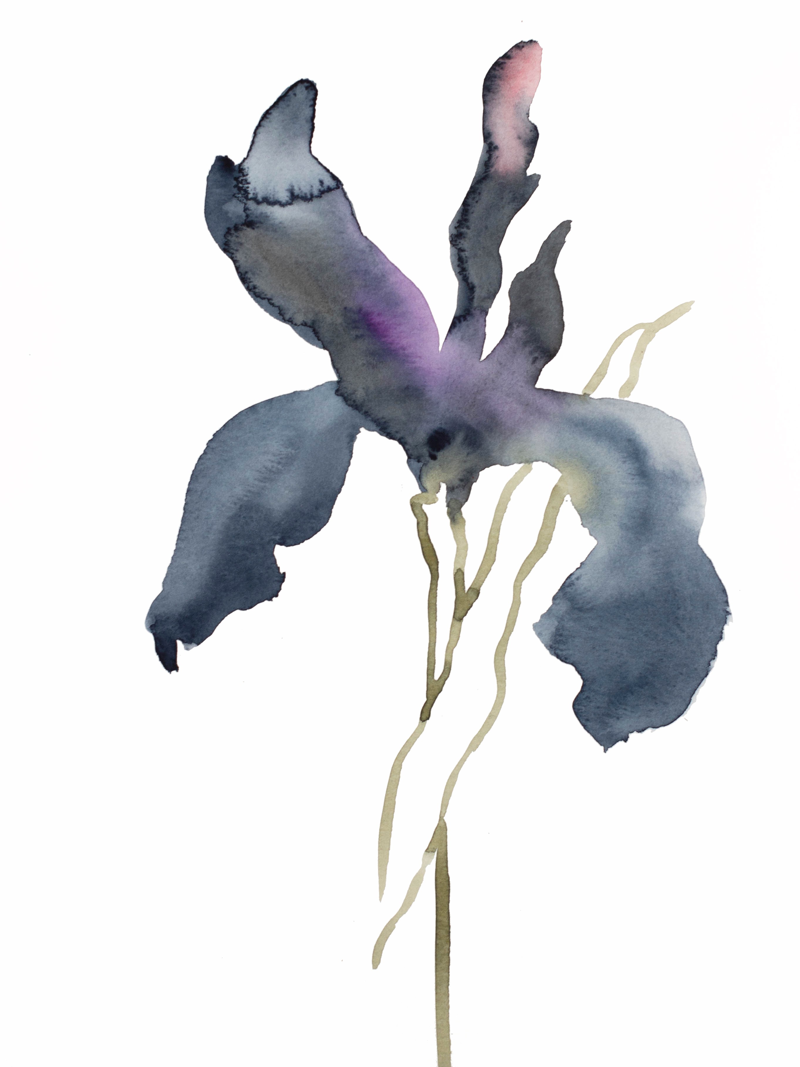 Elizabeth Becker, Iris No. 140 Elizabeth Becker, Iris No. 140