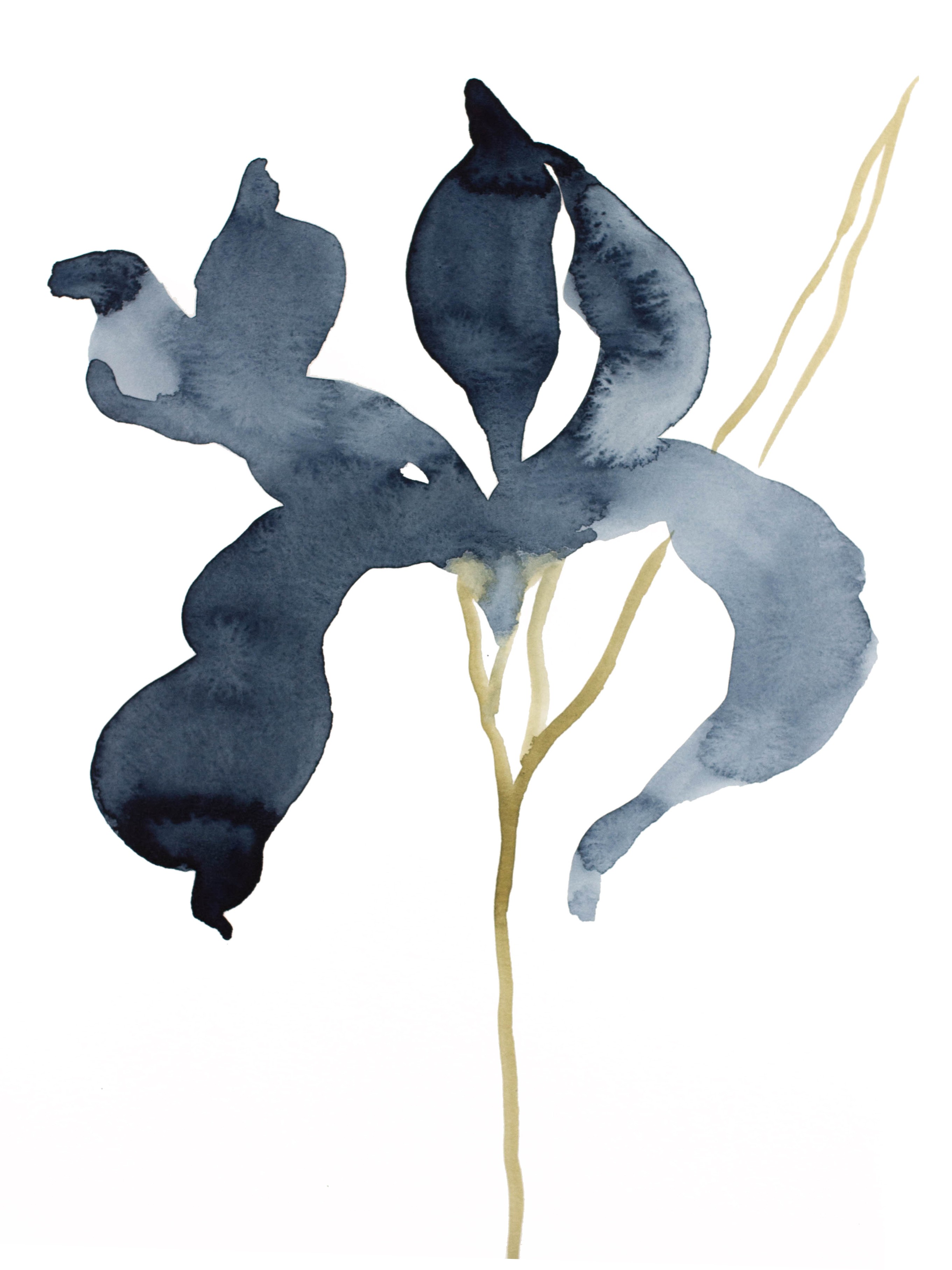 Elizabeth Becker, Iris No. 141 Elizabeth Becker, Iris No. 141