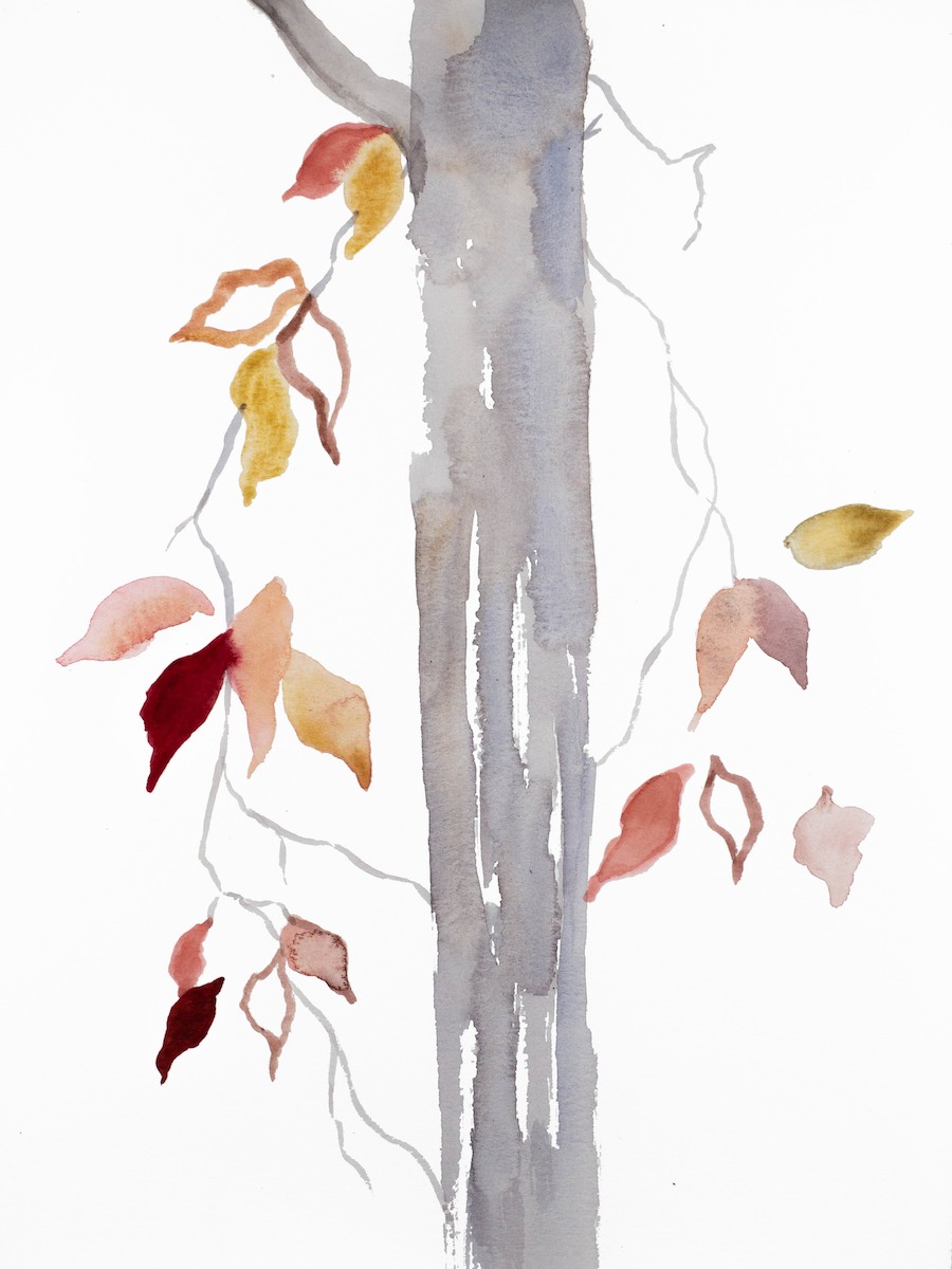 Elizabeth Becker, The Woods No. 125 Elizabeth Becker, The Woods No. 125