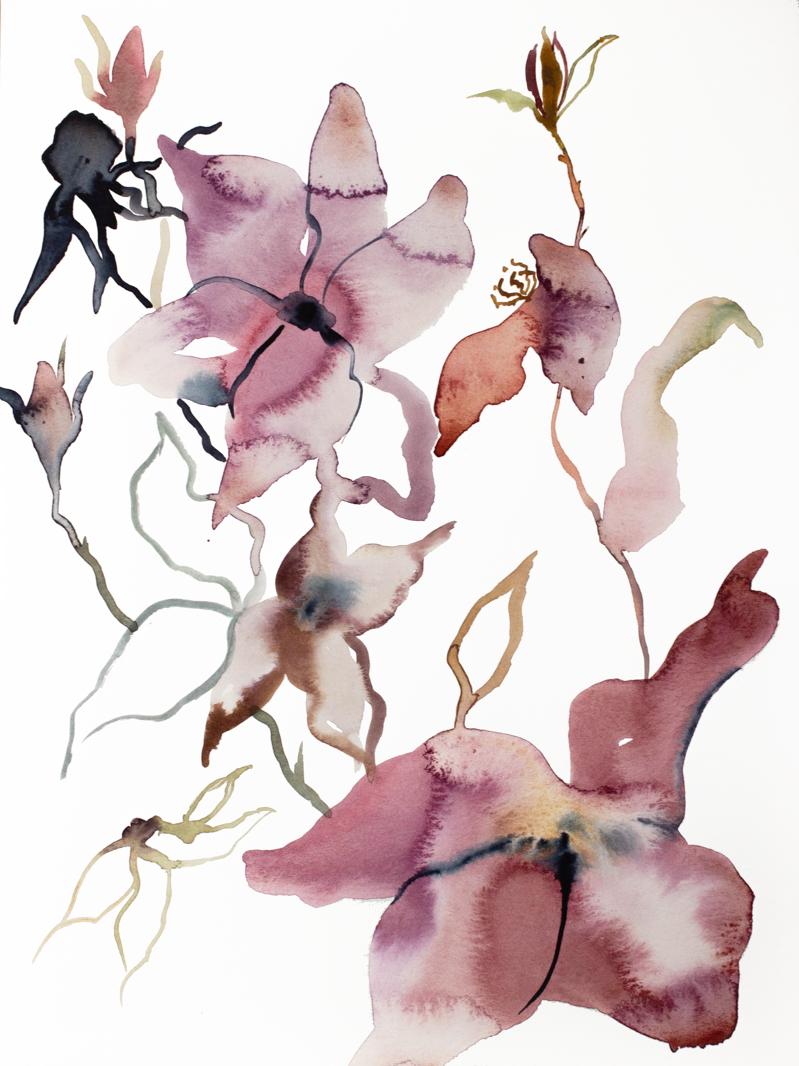 Elizabeth Becker, Rose Study No. 62 Elizabeth Becker, Rose Study No. 62