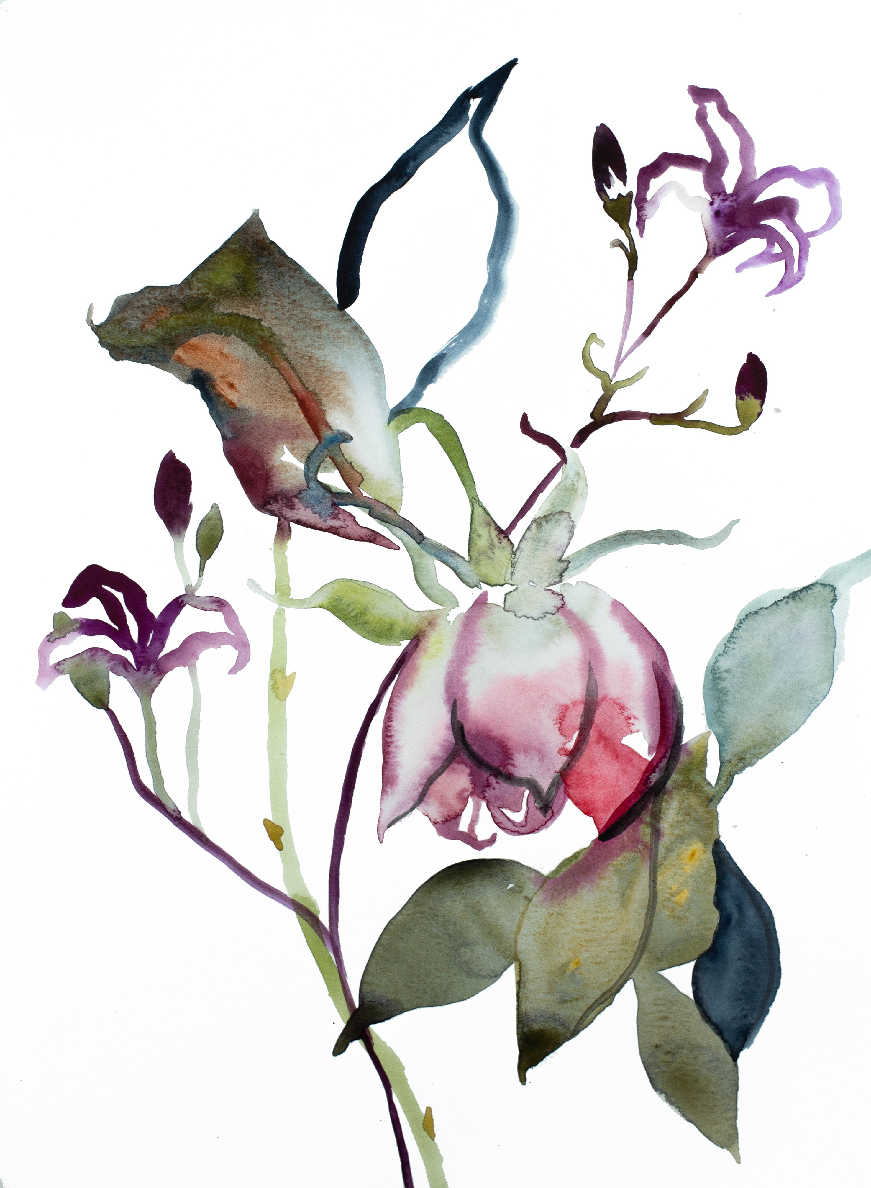 Elizabeth Becker, Floral No. 12 Elizabeth Becker, Floral No. 12