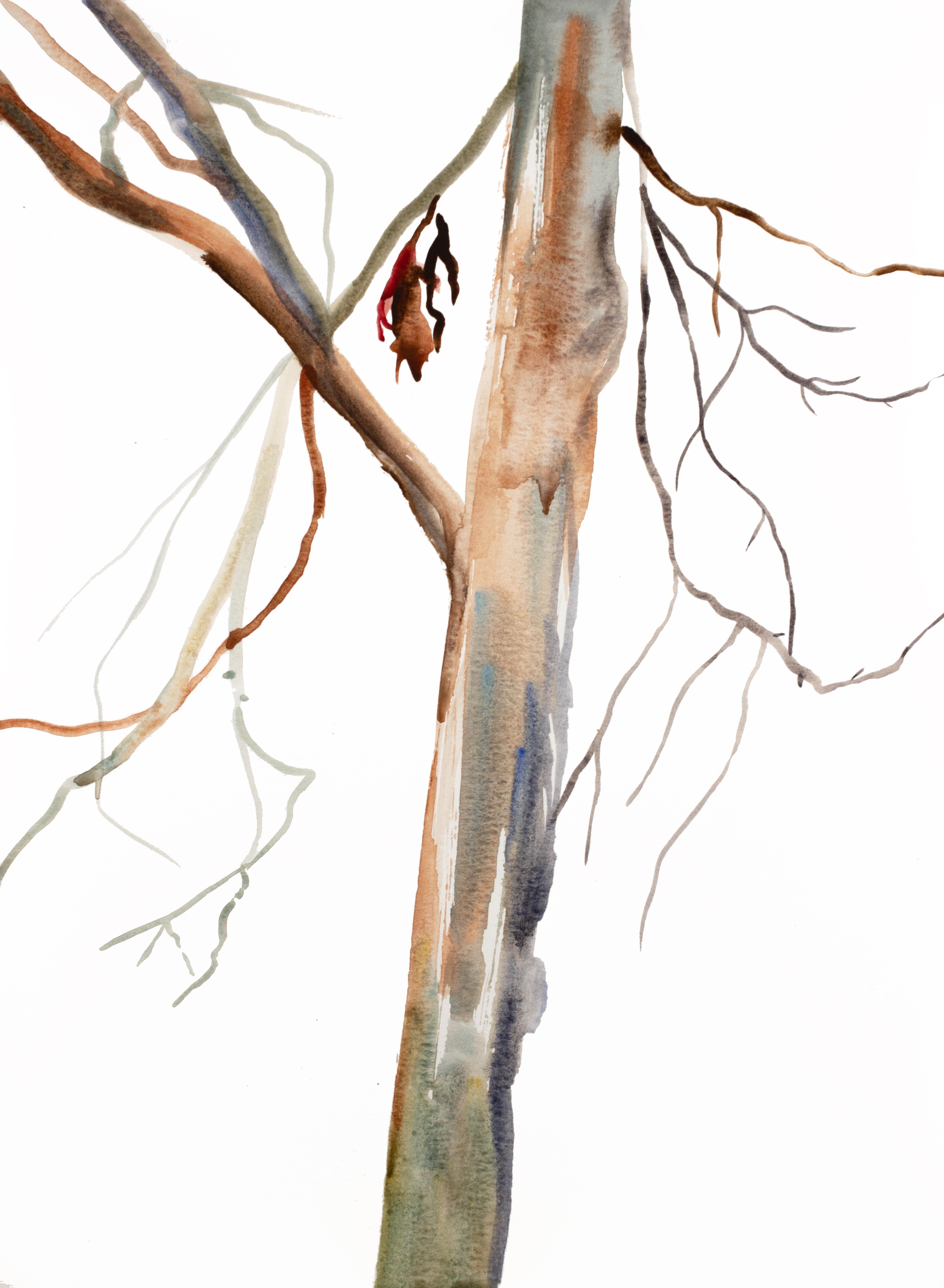 Elizabeth Becker, The Woods No. 126 Elizabeth Becker, The Woods No. 126