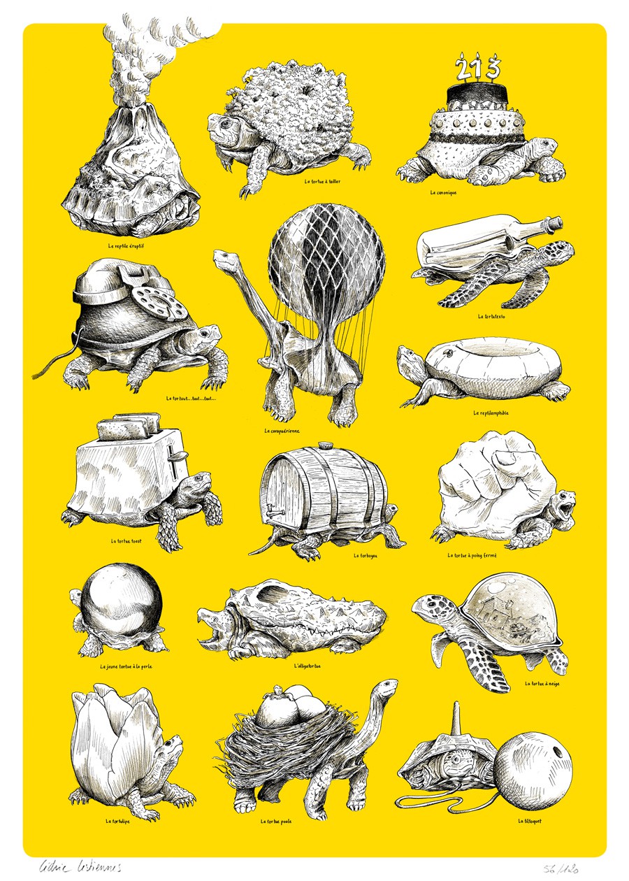 Cédric Lestiennes, Les Tortues Jaunes Cédric Lestiennes, Les Tortues Jaunes