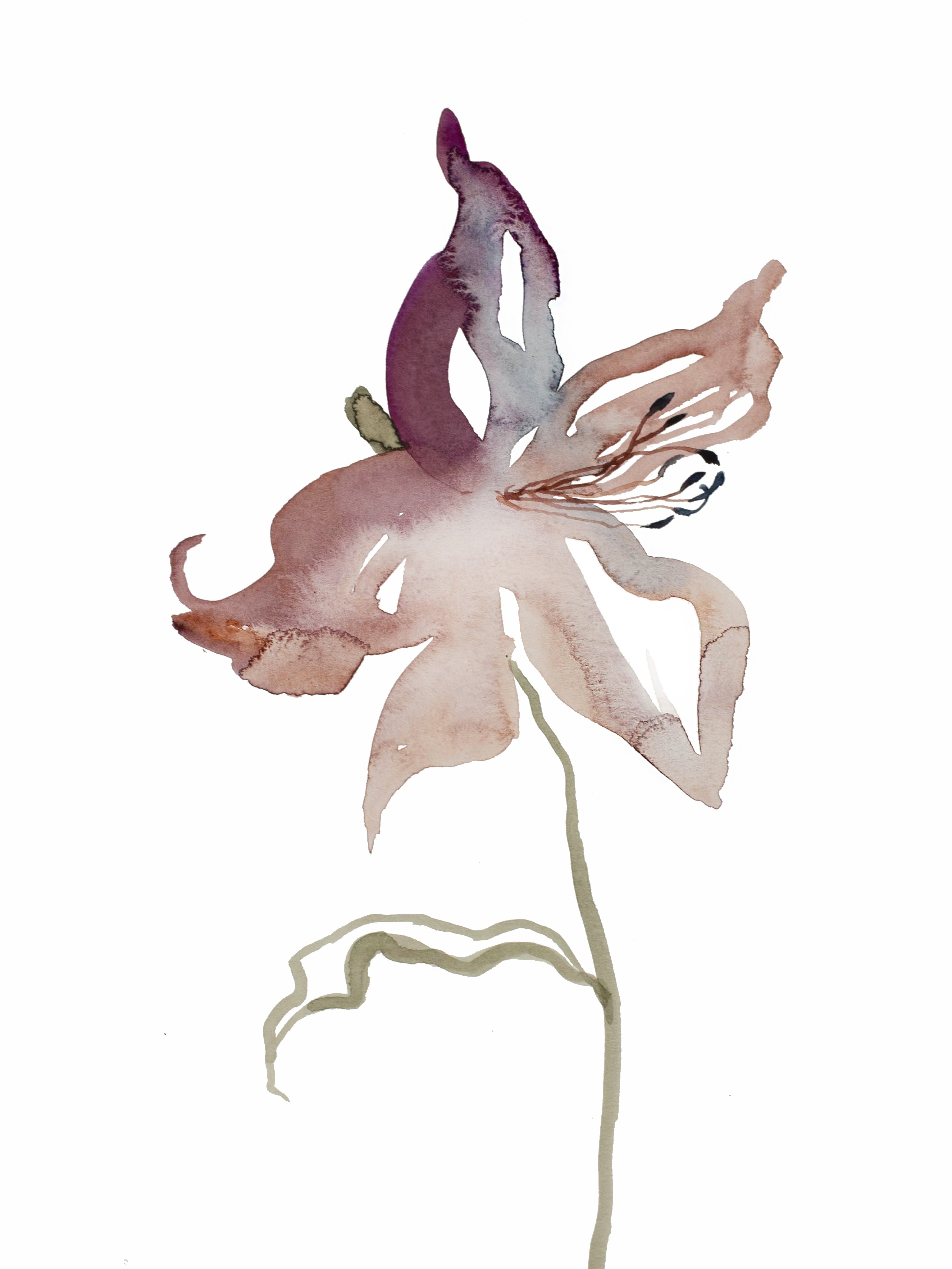 Elizabeth Becker, Lily No. 1 Elizabeth Becker, Lily No. 1