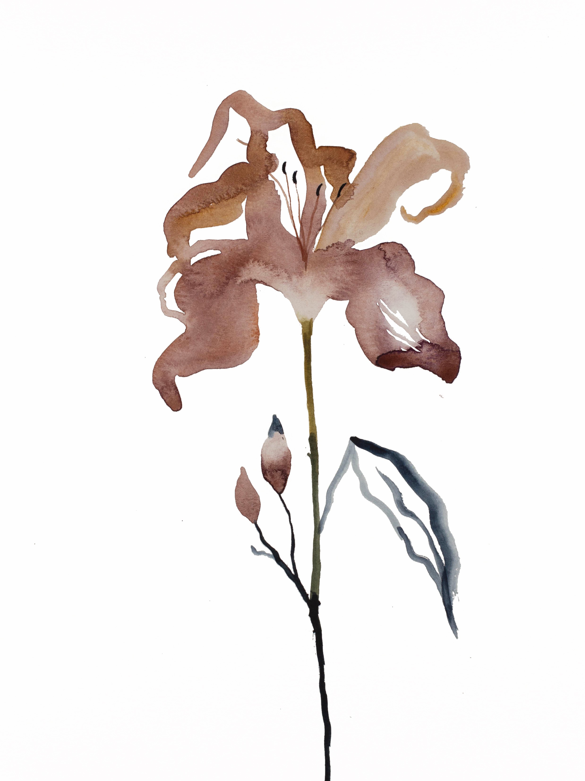 Elizabeth Becker, Lily No. 4 Elizabeth Becker, Lily No. 4
