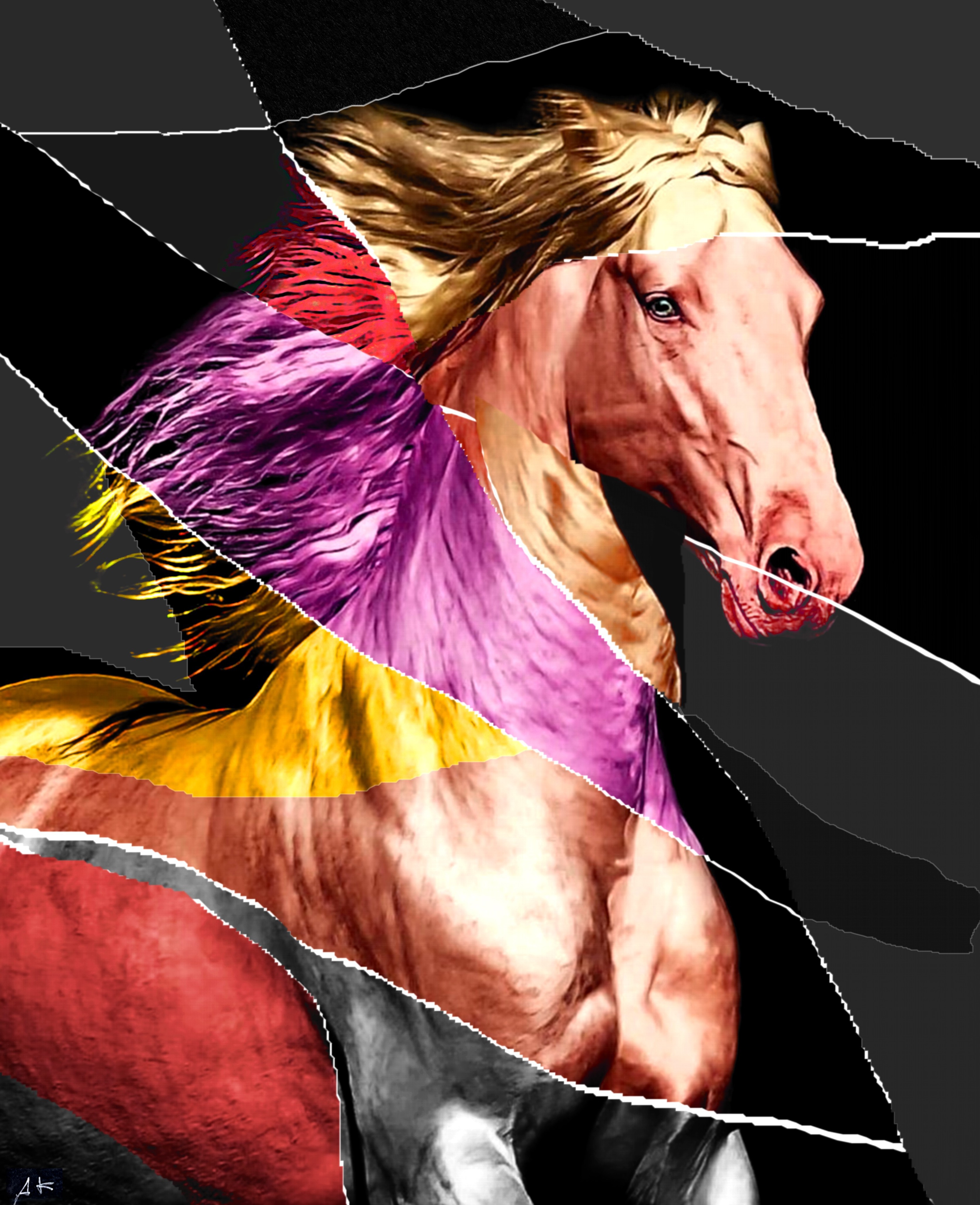 Asnidy Kiarholi, Run Horse Asnidy Kiarholi, Run Horse