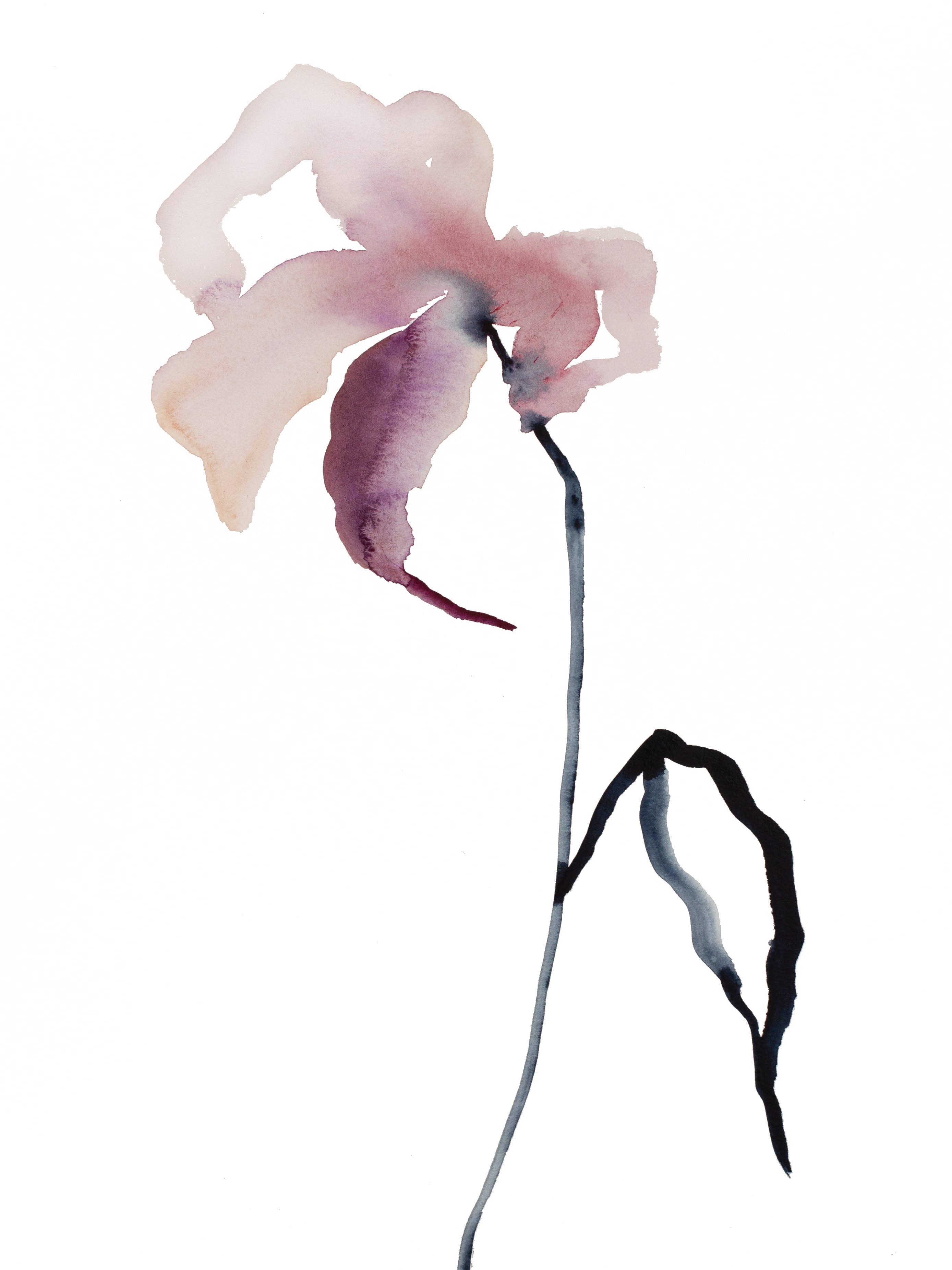 Elizabeth Becker, Lily No. 8 Elizabeth Becker, Lily No. 8