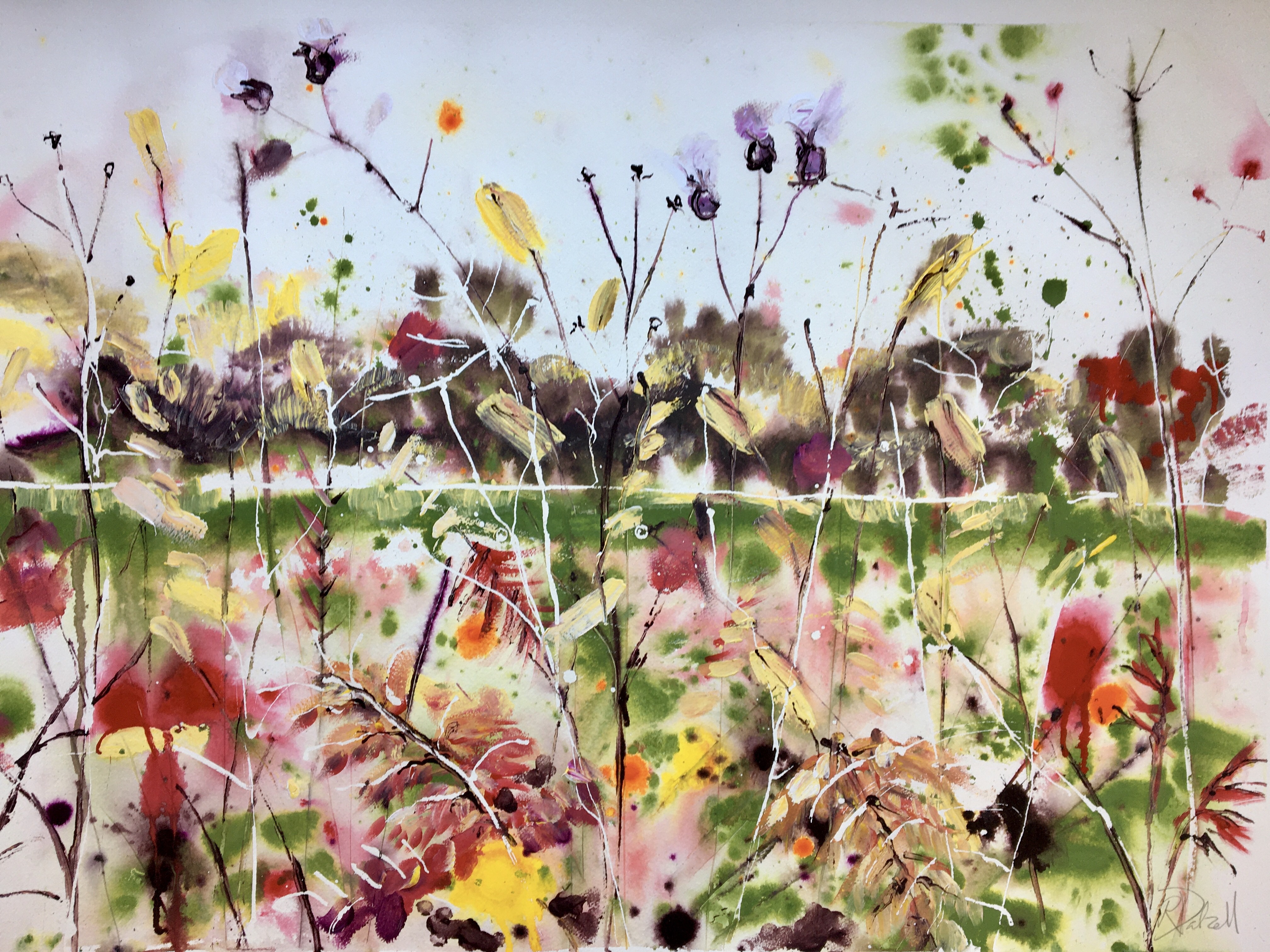 Rachael Dalzell, The dancing colours of autumn Rachael Dalzell, The dancing colours of autumn