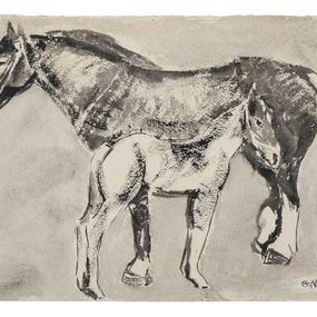 Fine Art Drawings, Horses, Germaine Nordmann