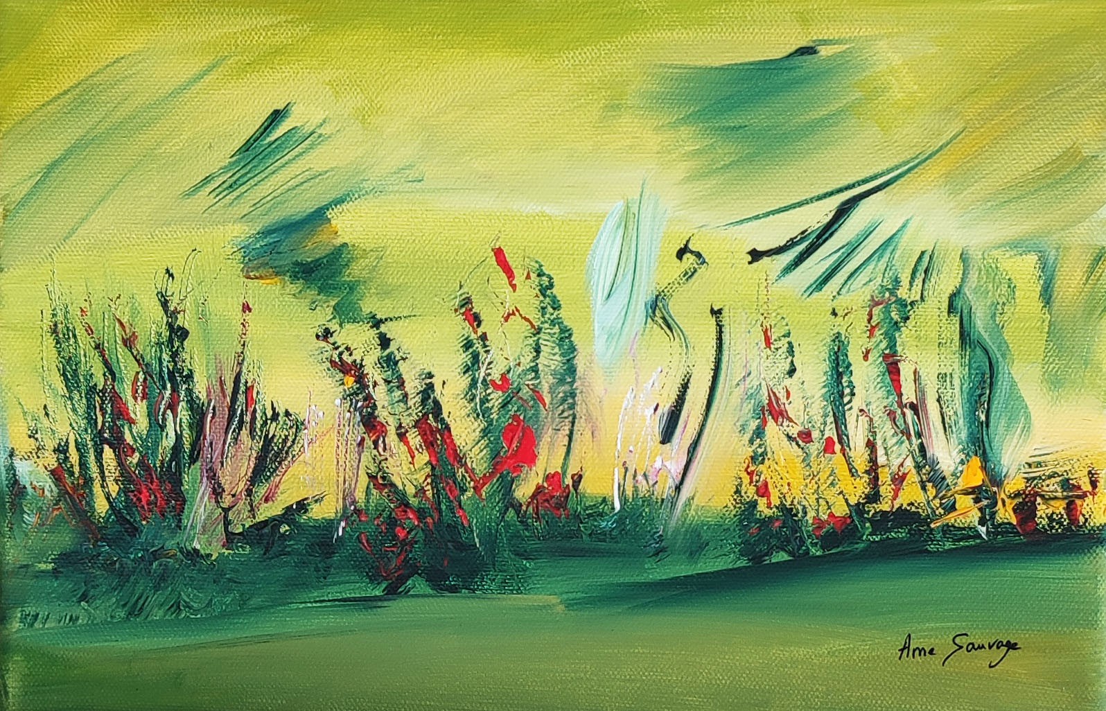 Âme Sauvage, Les plantes de feu Âme Sauvage, Les plantes de feu