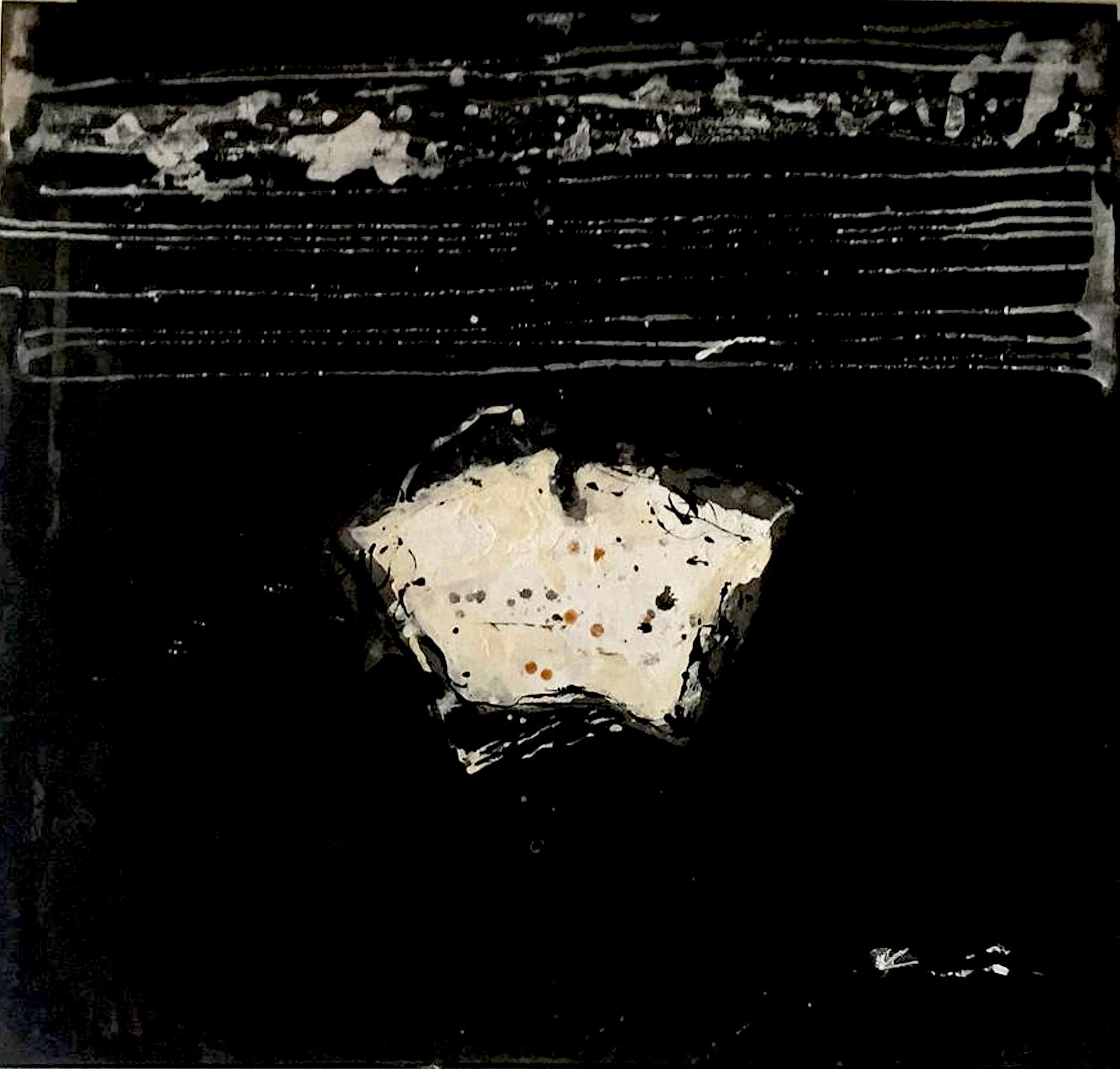 Sophie Valette, Black Swan 2 Sophie Valette, Black Swan 2