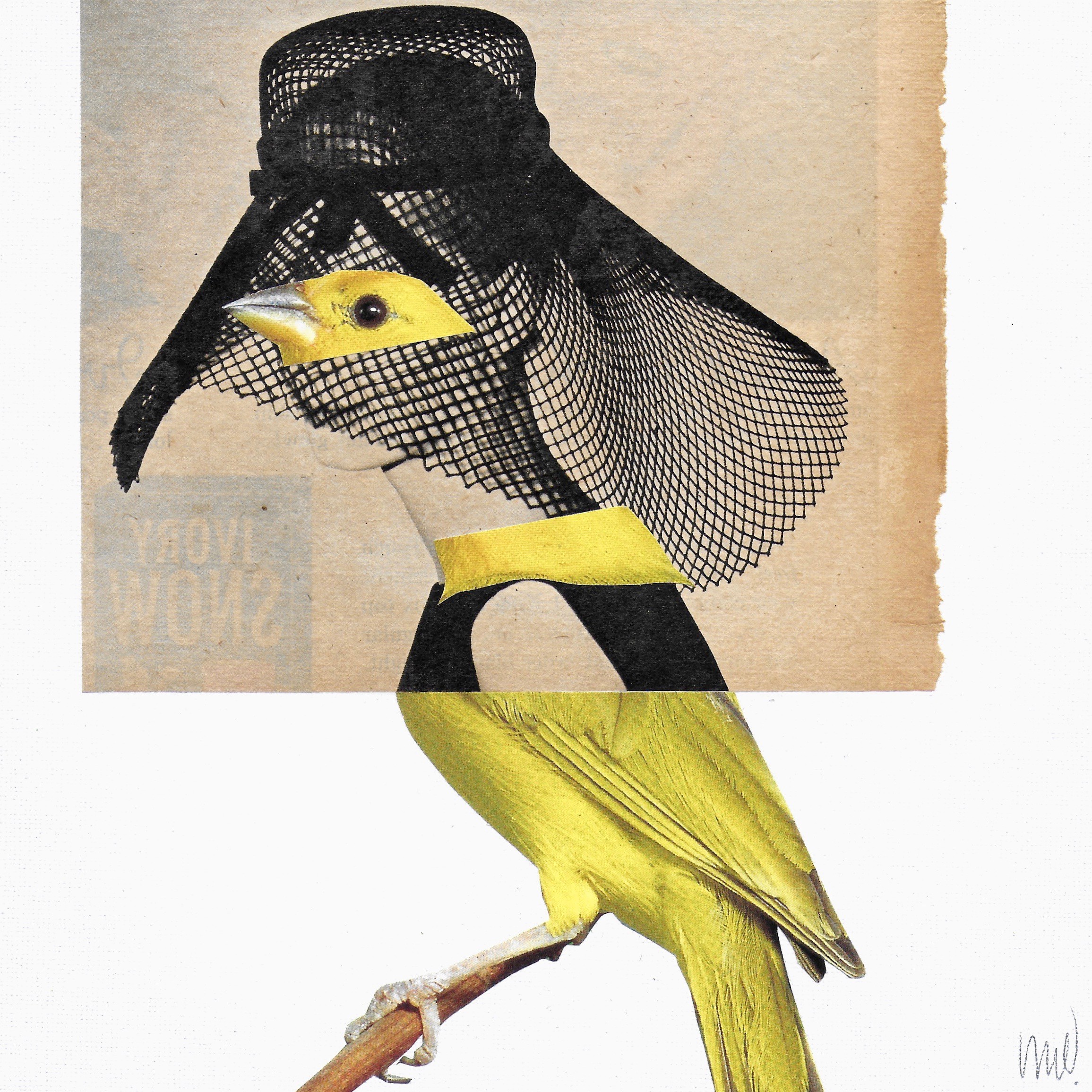 Marian Williams, Old Birds 2 Marian Williams, Old Birds 2