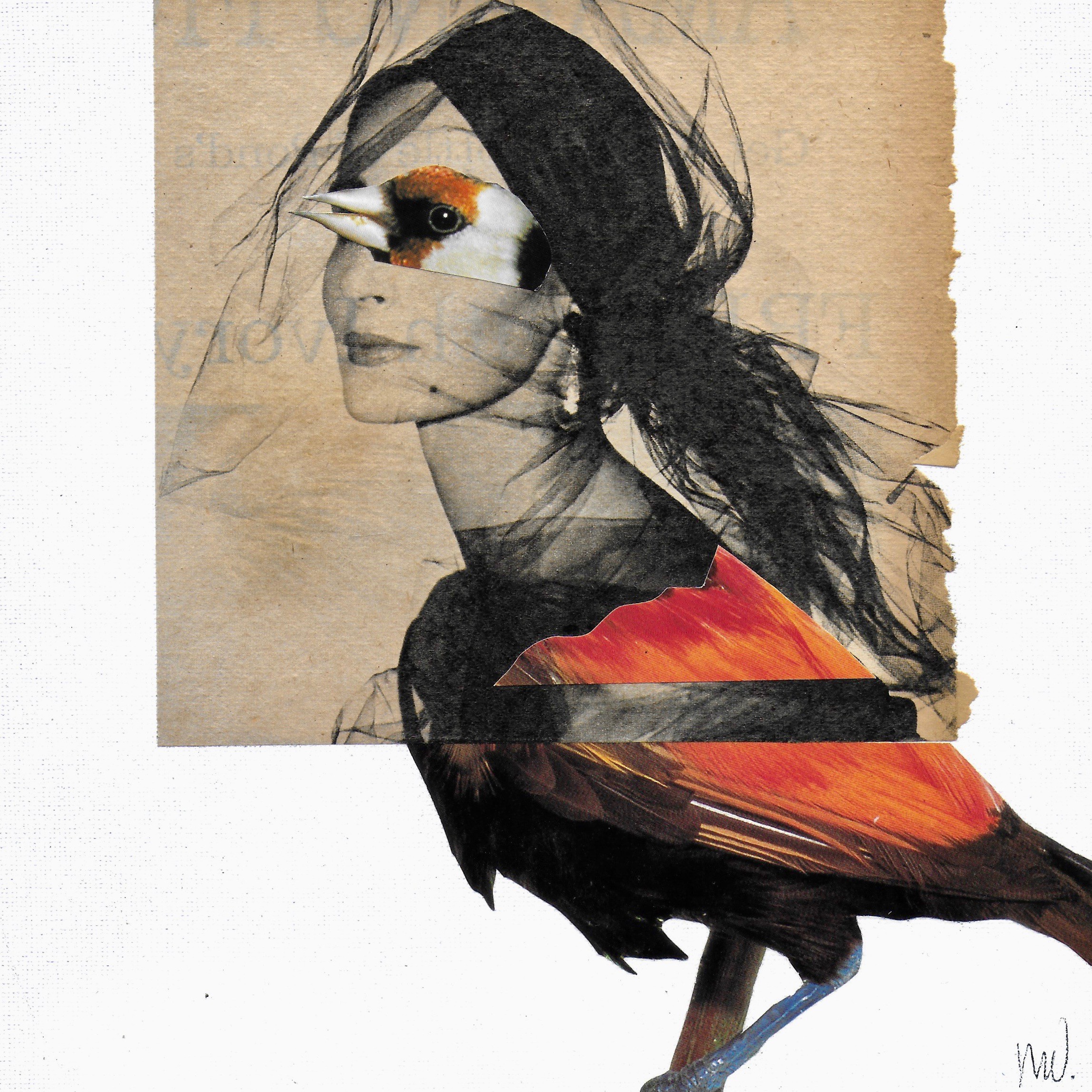 Marian Williams, Old Birds 3 Marian Williams, Old Birds 3