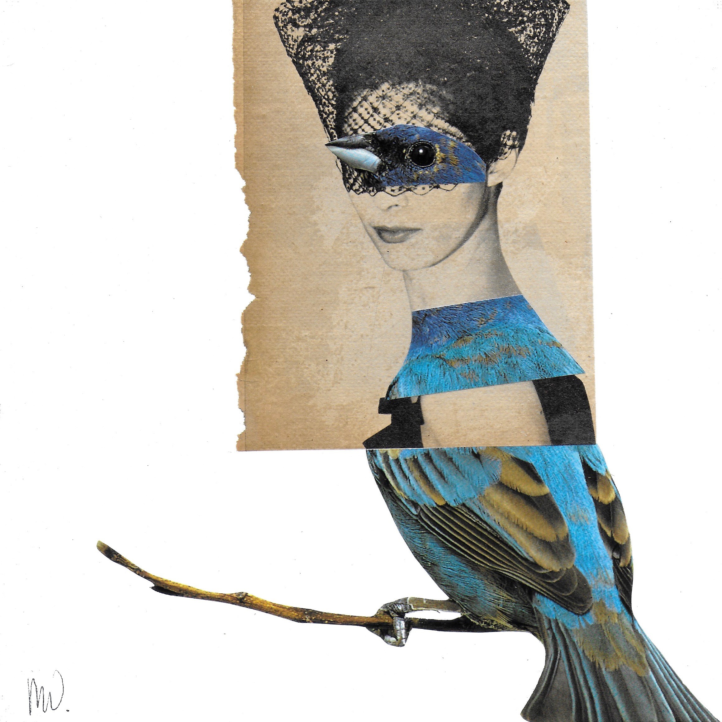 Marian Williams, Old Birds 4 Marian Williams, Old Birds 4