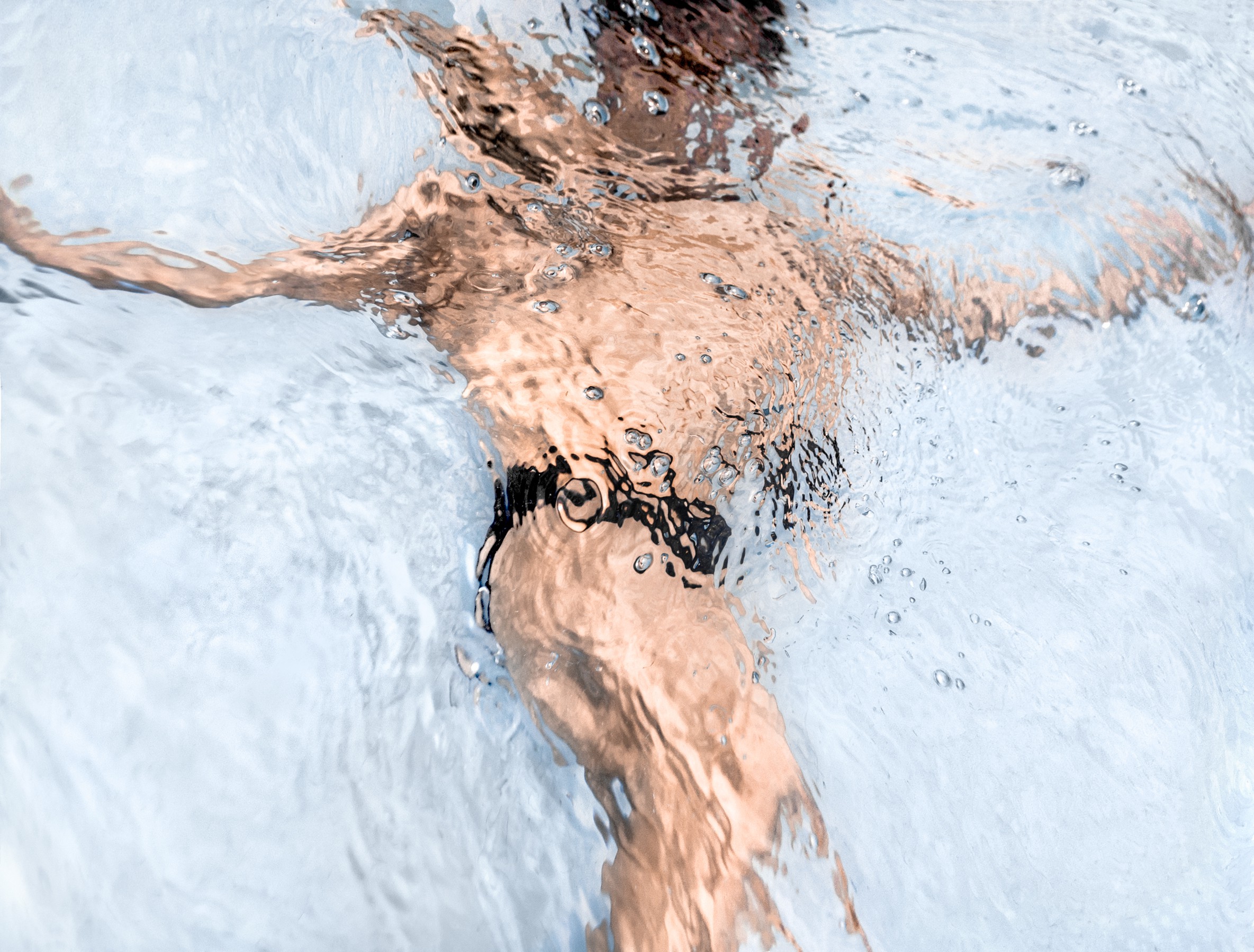 Javier Rey, I melt #1 Javier Rey, I melt #1