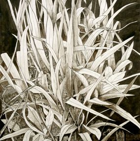 Les herbes folles, Frank Girard