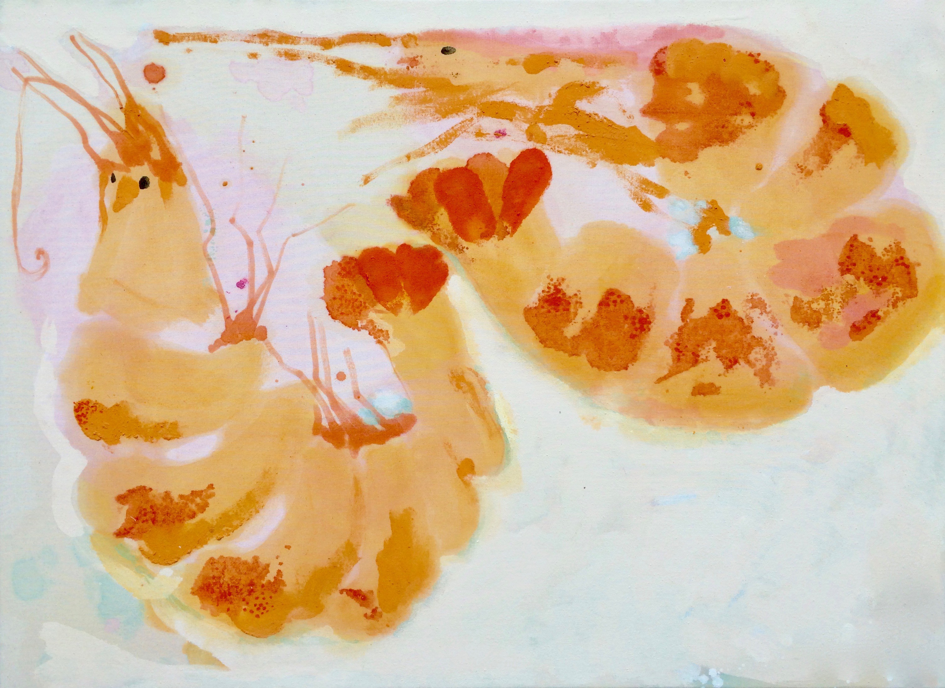 Laurence Leccia, Les crevettes Laurence Leccia, Les crevettes