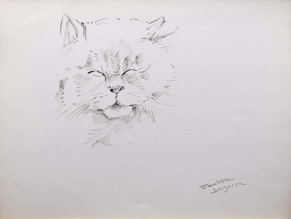 Marie-Paulette Lagosse, The Cat Marie-Paulette Lagosse, The Cat